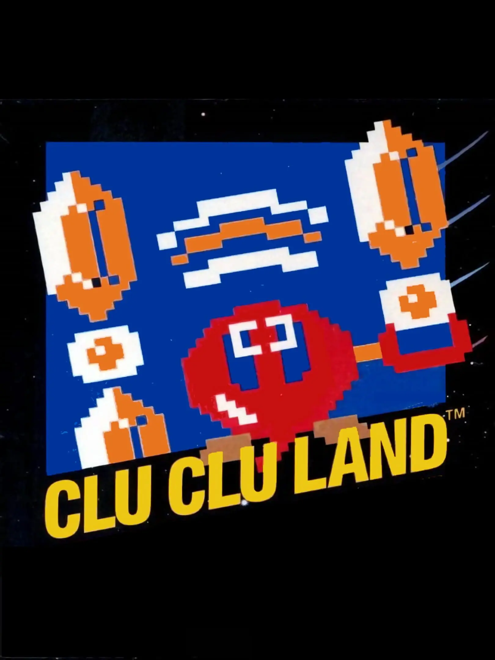 Picture of Clu Clu Land
