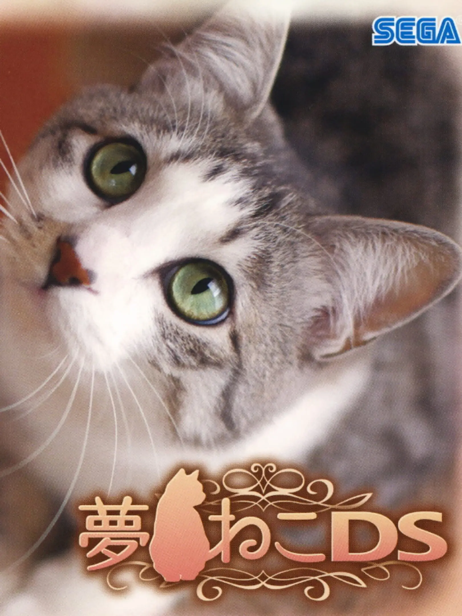 Picture of Yume Neko DS