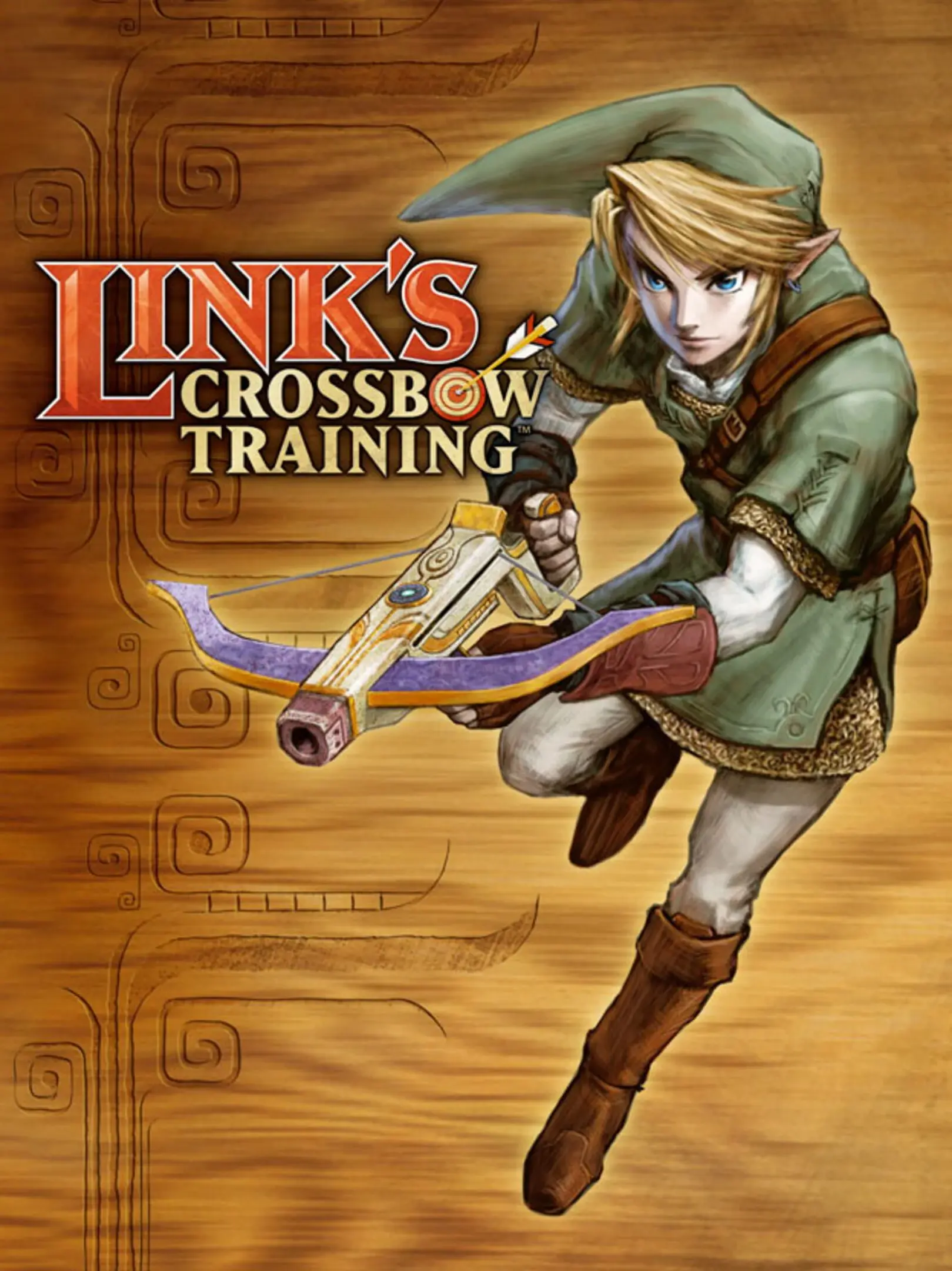 Picture of Link's Crossbow Training