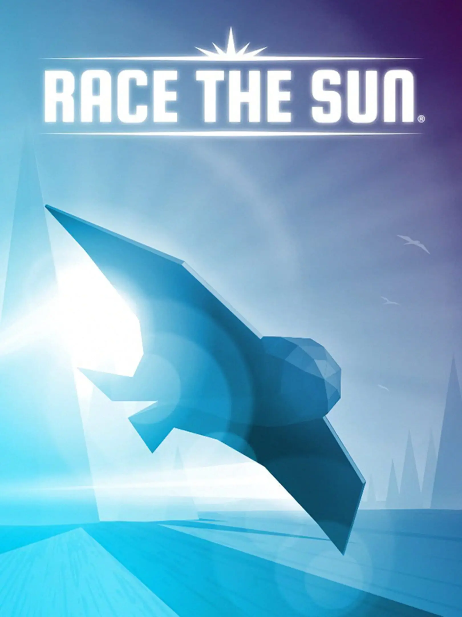 Picture of Race the Sun