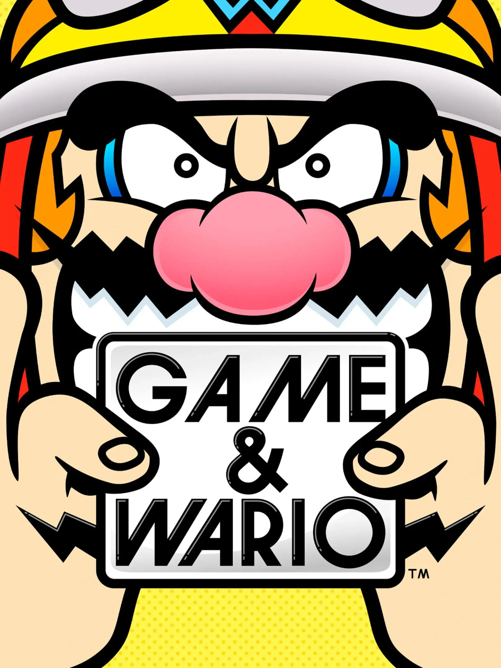 Picture of Game & Wario (2)