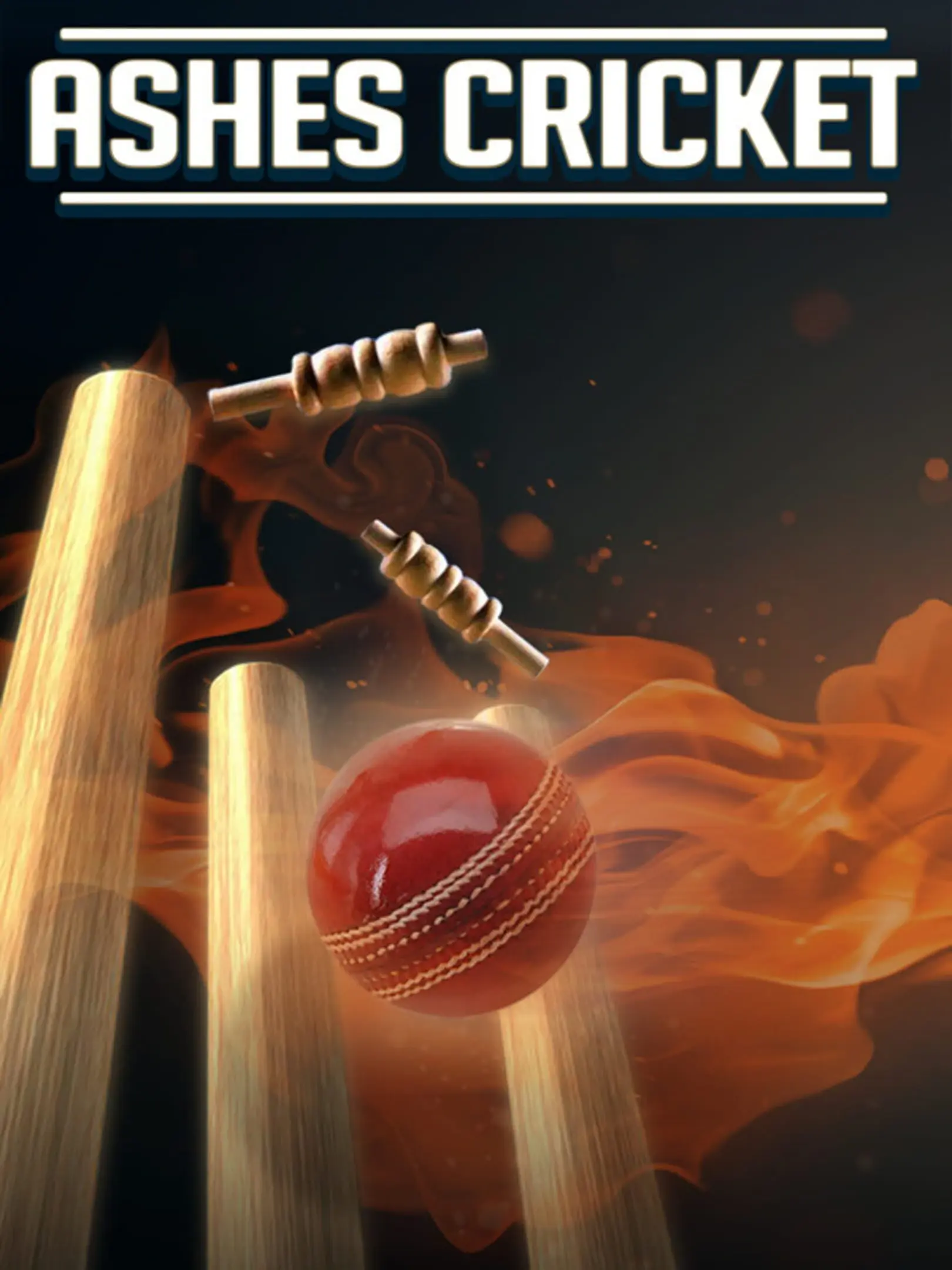 Picture of Ashes Cricket
