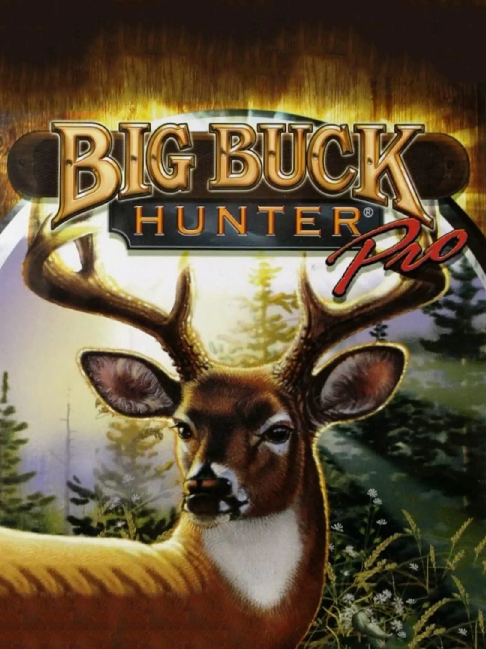 Picture of Big Buck Hunter Pro