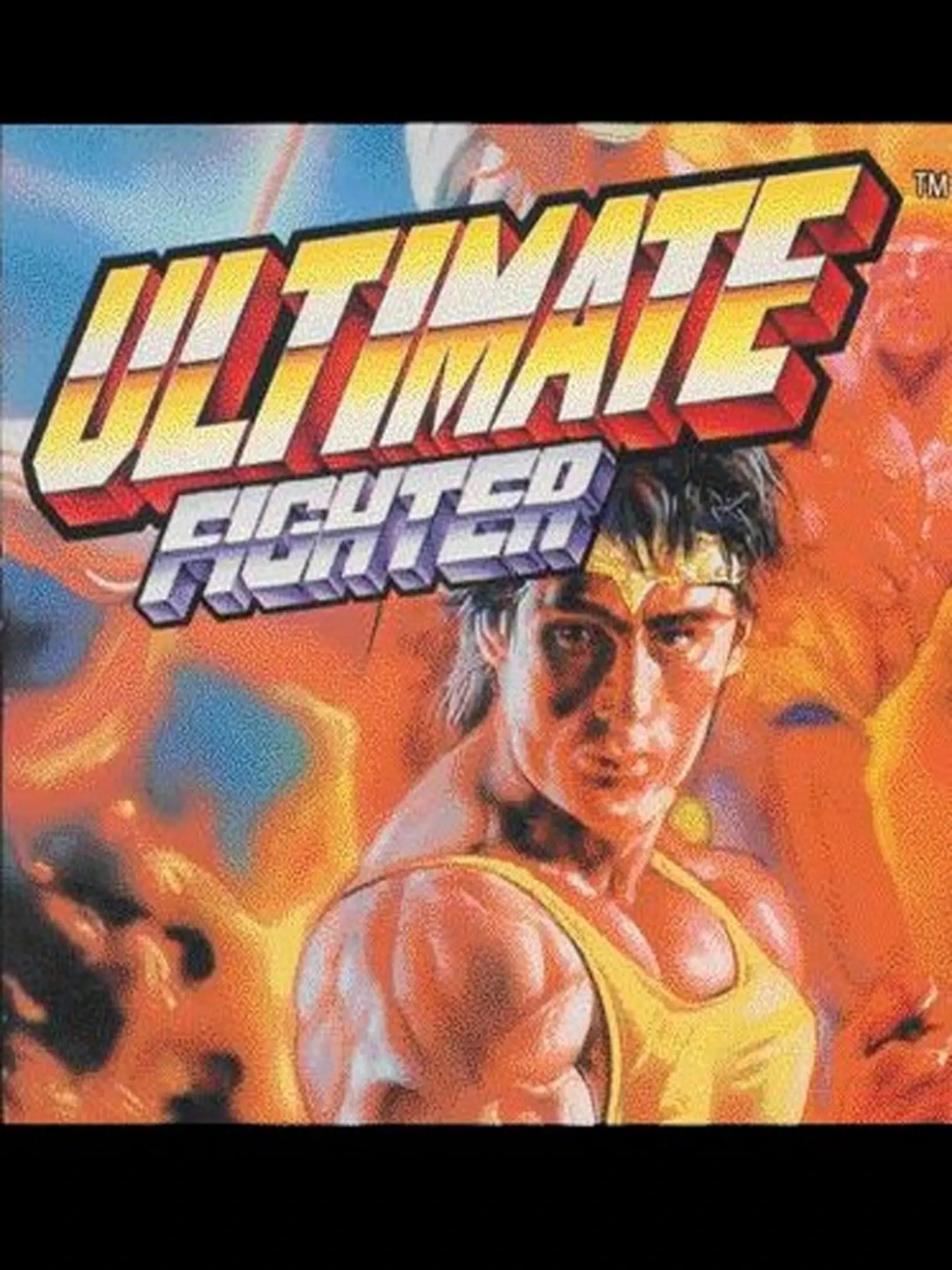 Picture of Ultimate Fighter
