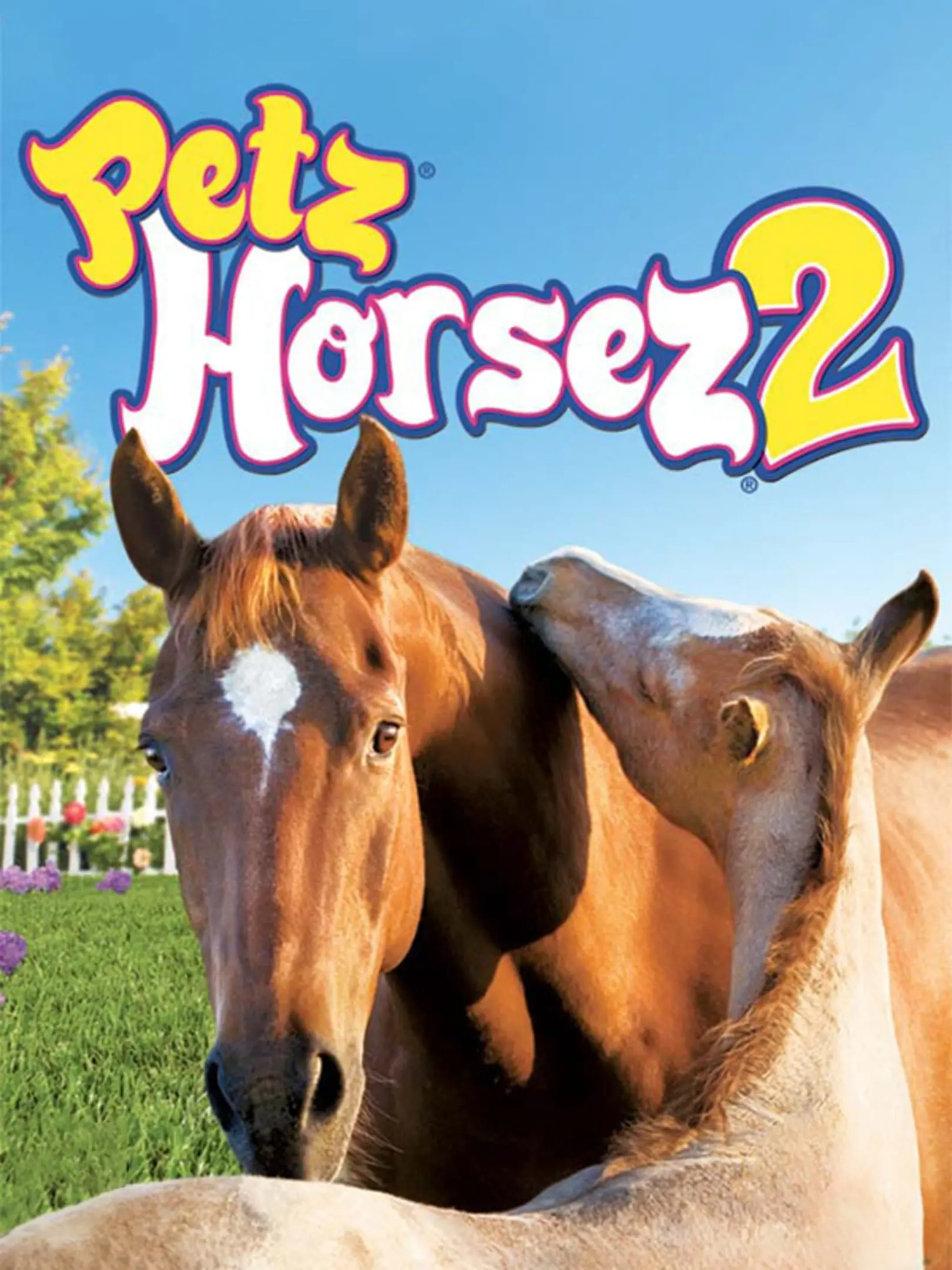 Picture of Petz: Horsez 2
