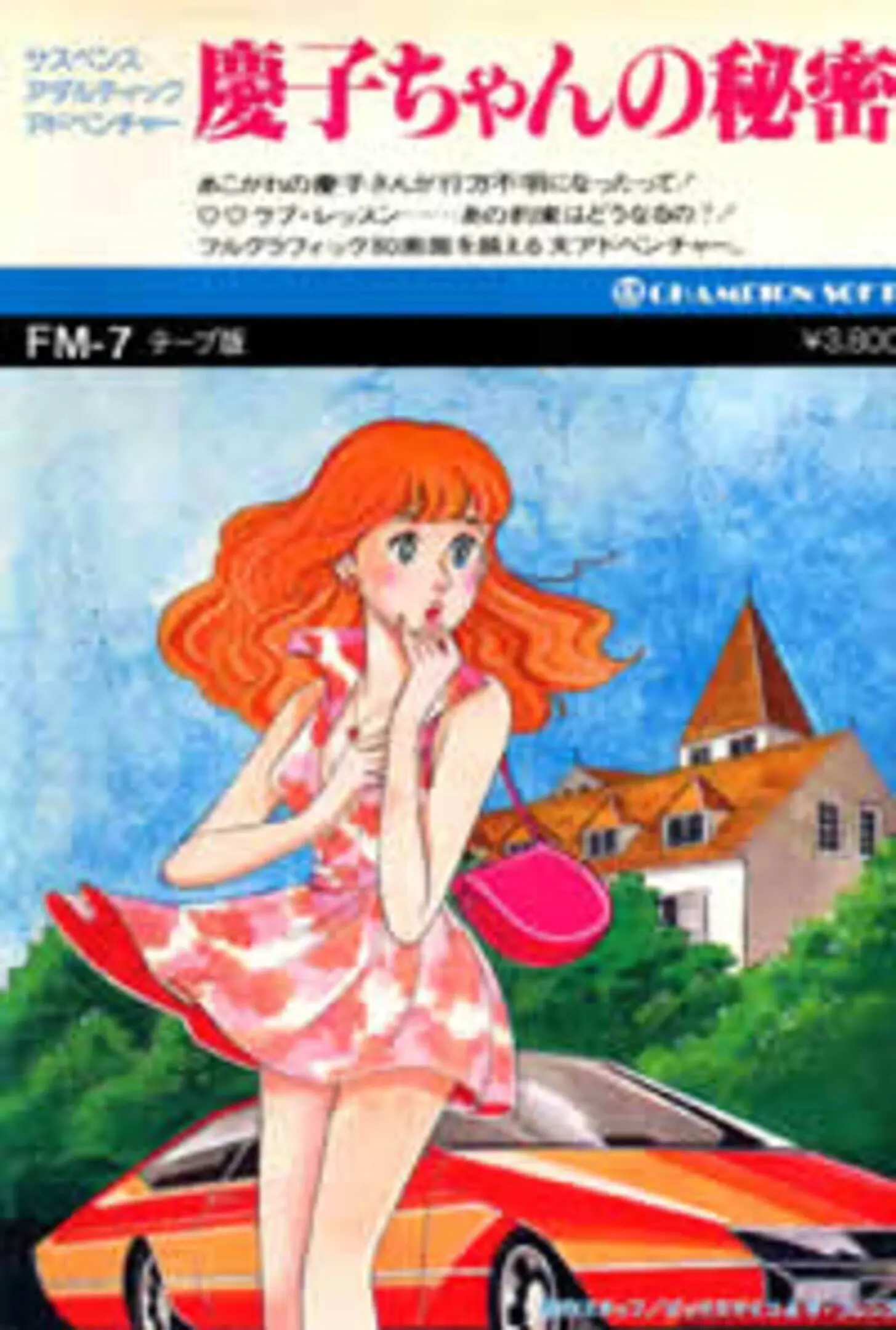 Picture of Keiko-Chan No Himitsu