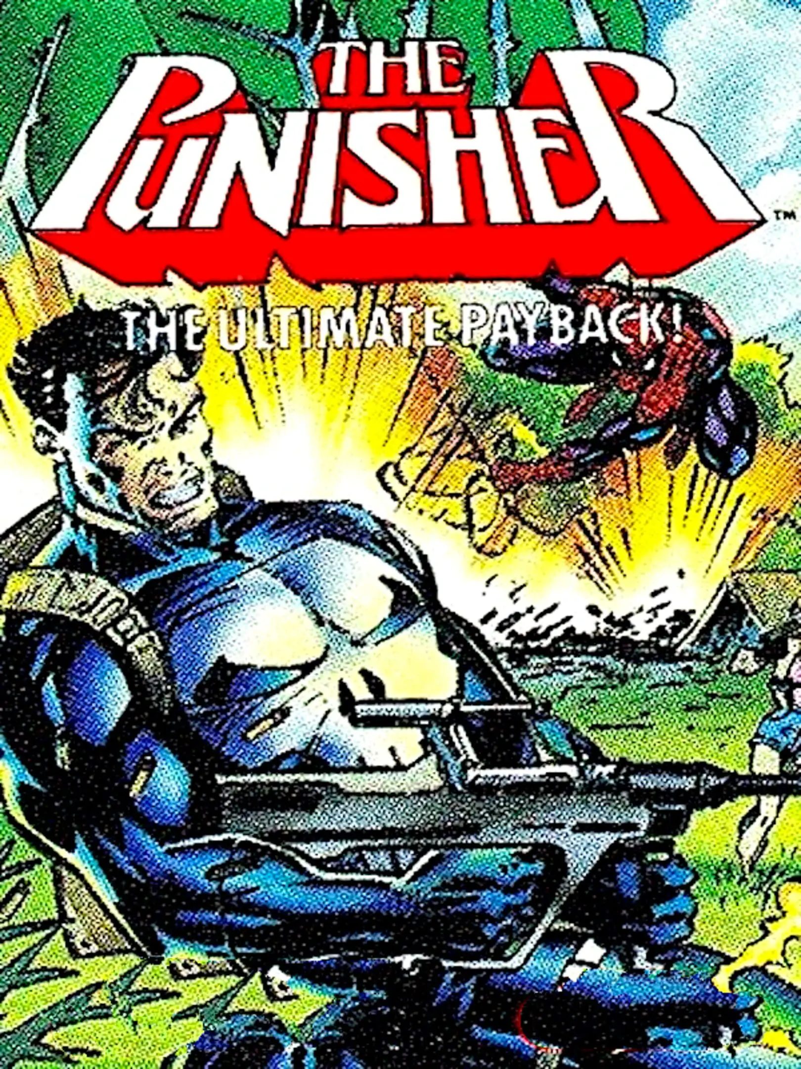 Picture of The Punisher: The Ultimate Payback