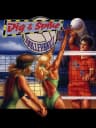 Picture of Dig & Spike Volleyball