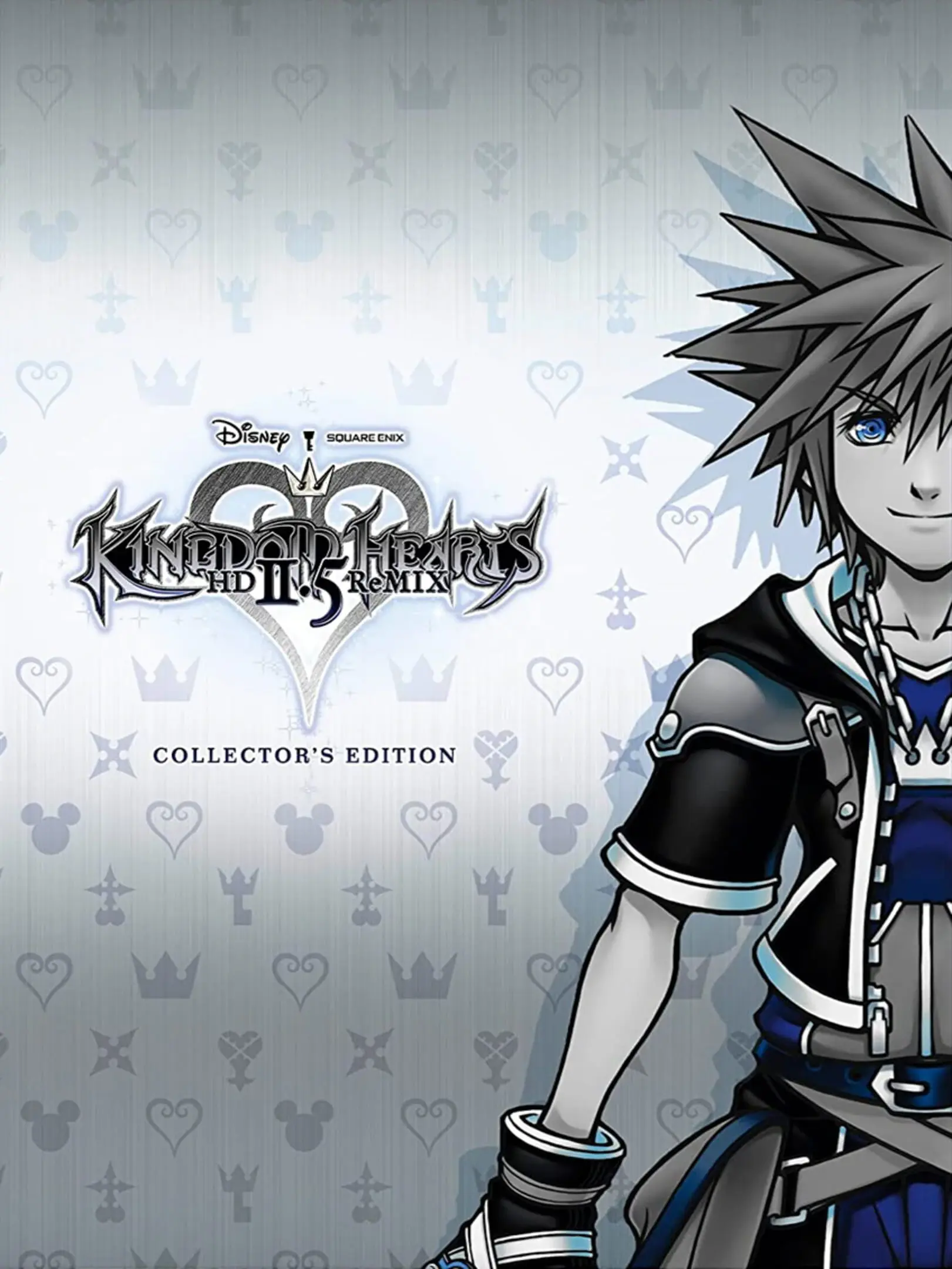 Kingdom Hearts HD II.5 ReMIX