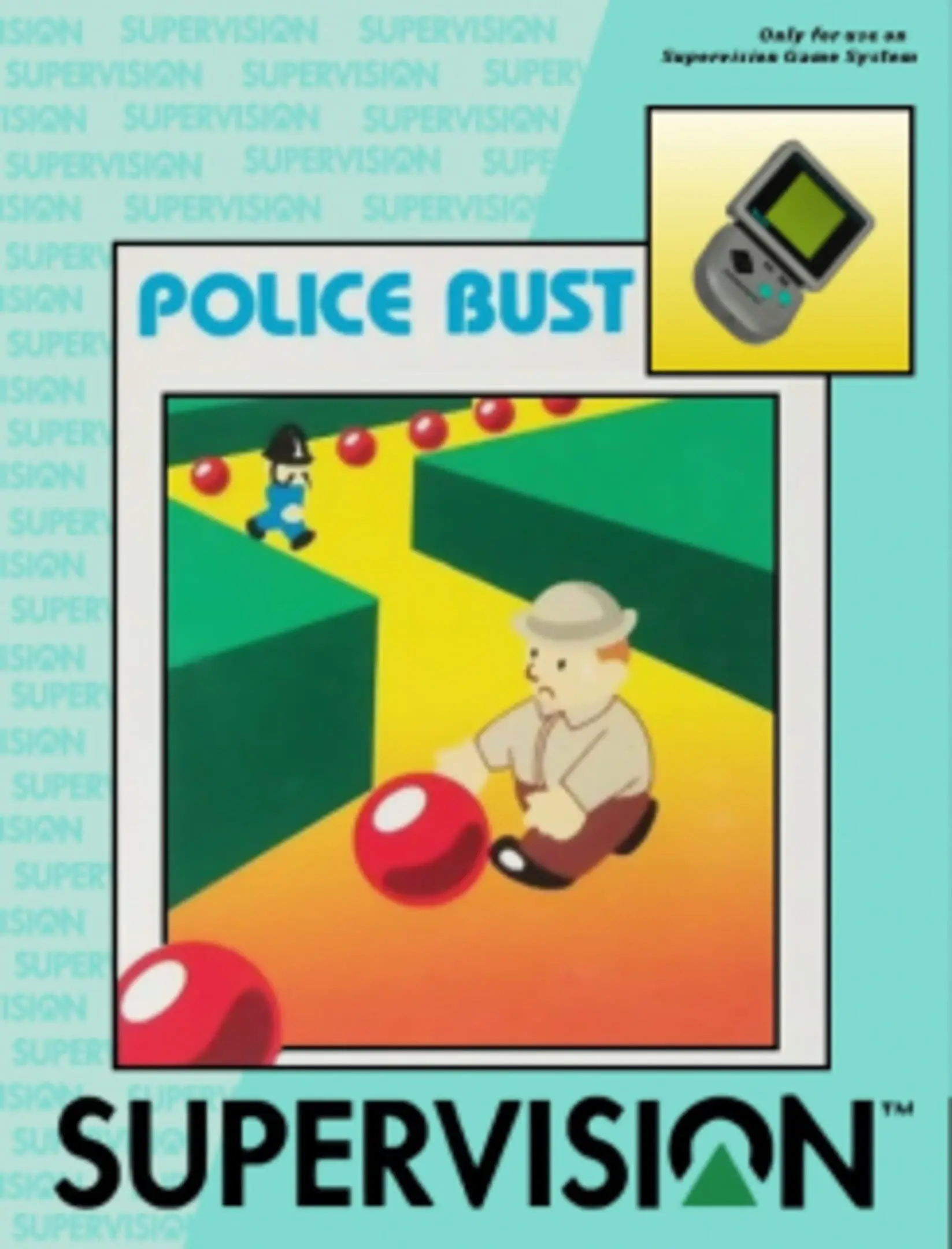 Picture of Police Bust