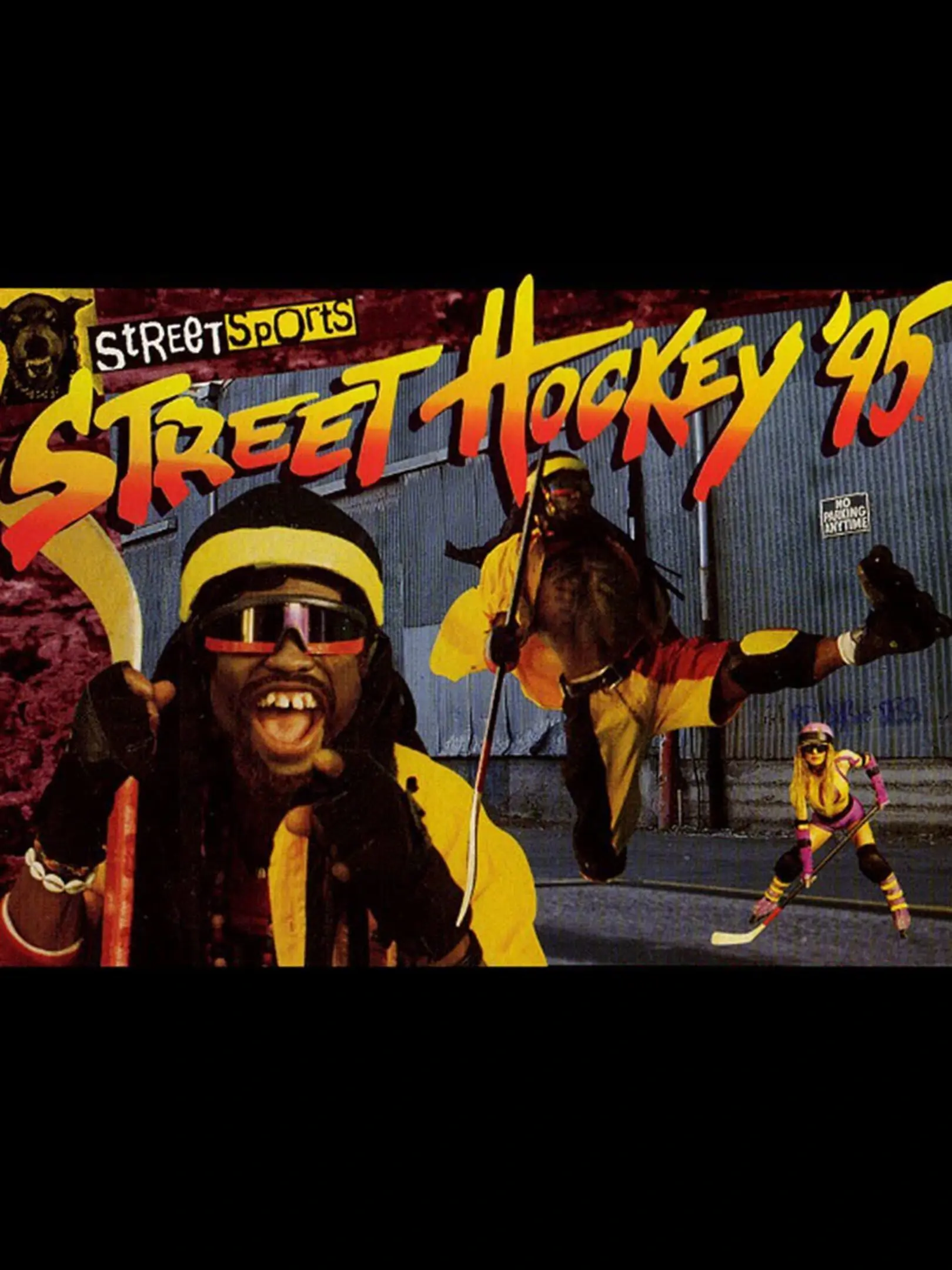 Picture of Street Hockey '95