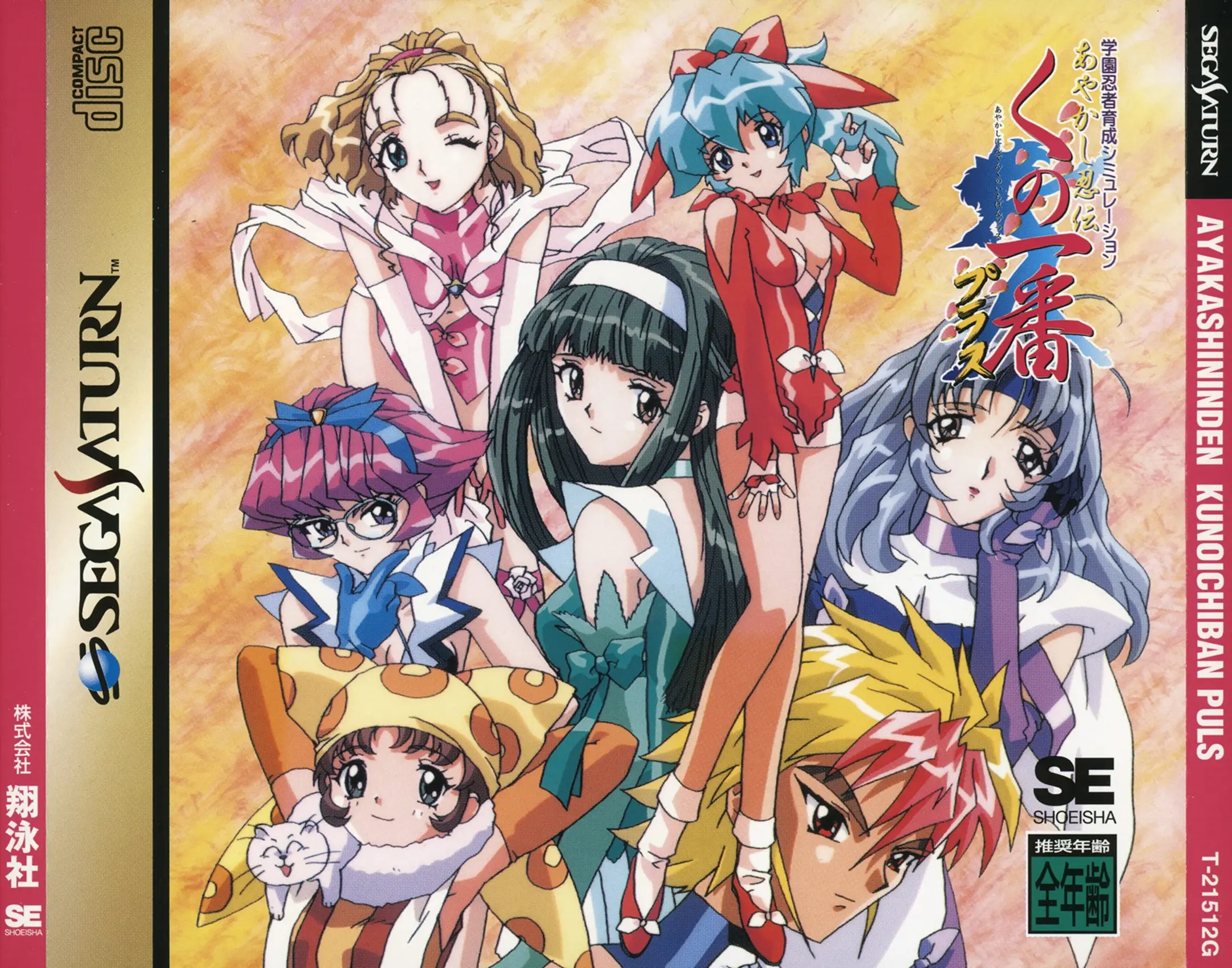Picture of Ayakashi Ninden Kunoichiban Plus