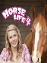 Picture of Horse Life 4