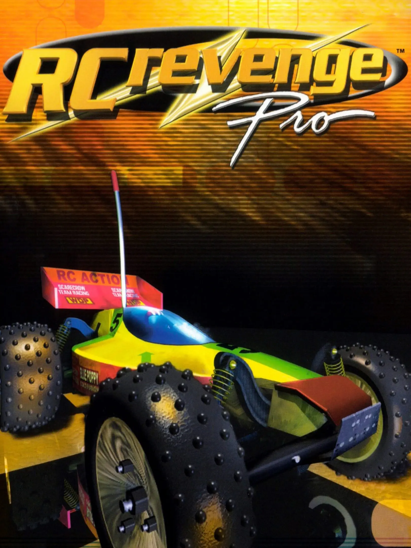 Picture of RC Revenge Pro