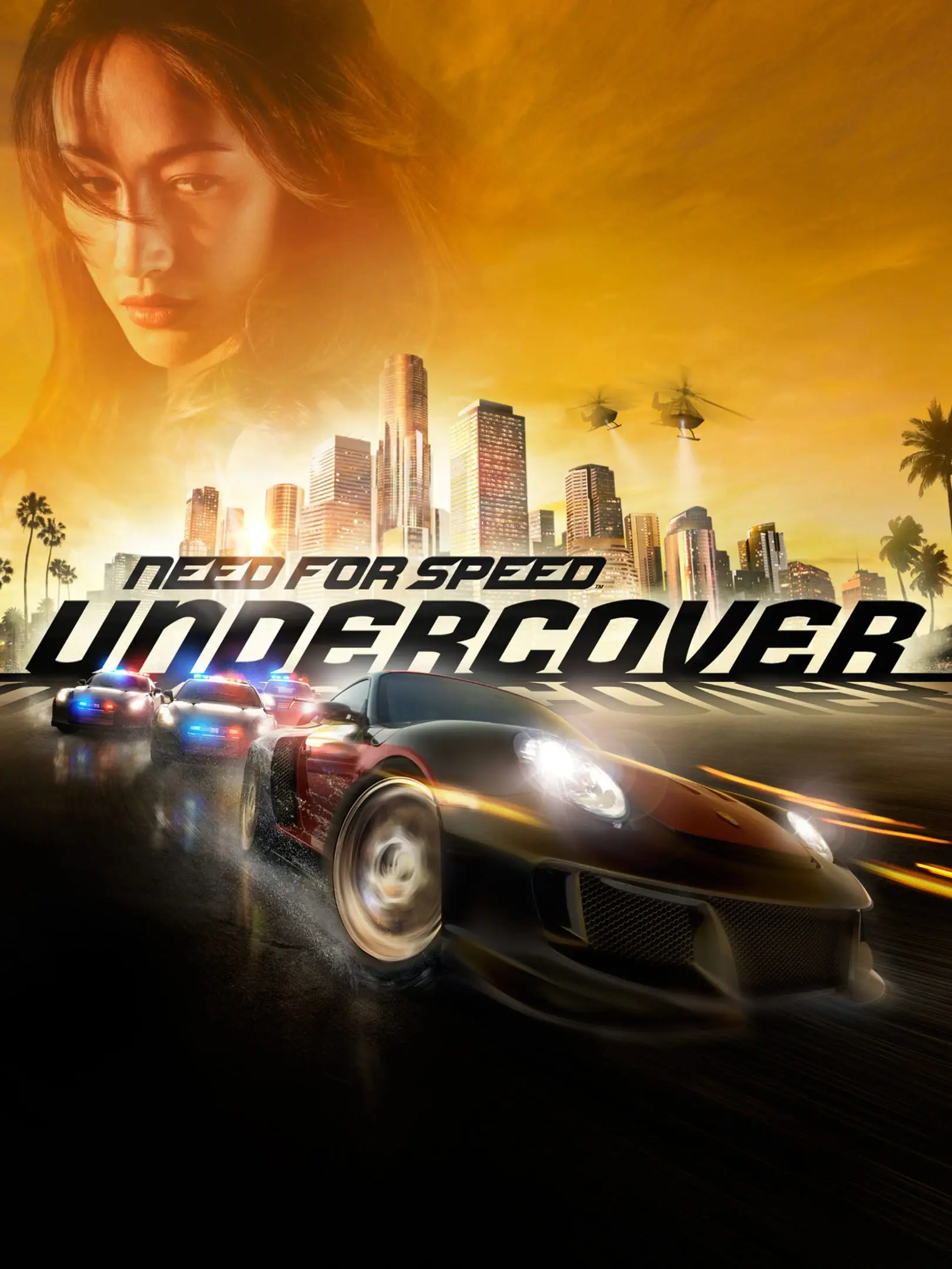 Picture of Need for Speed Undercover
