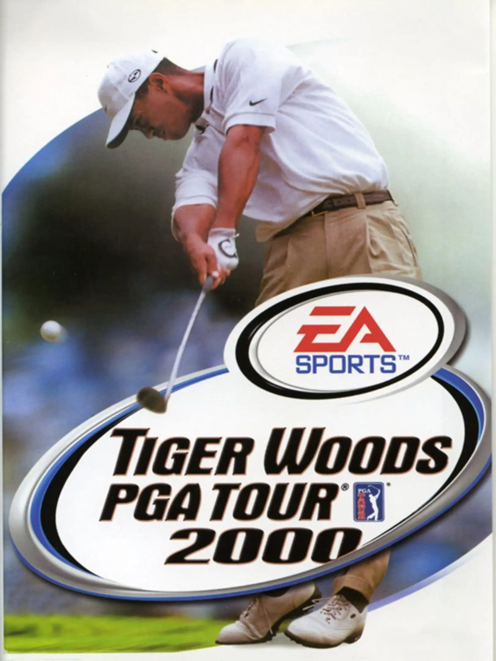 Picture of Tiger Woods USA Tour 2000