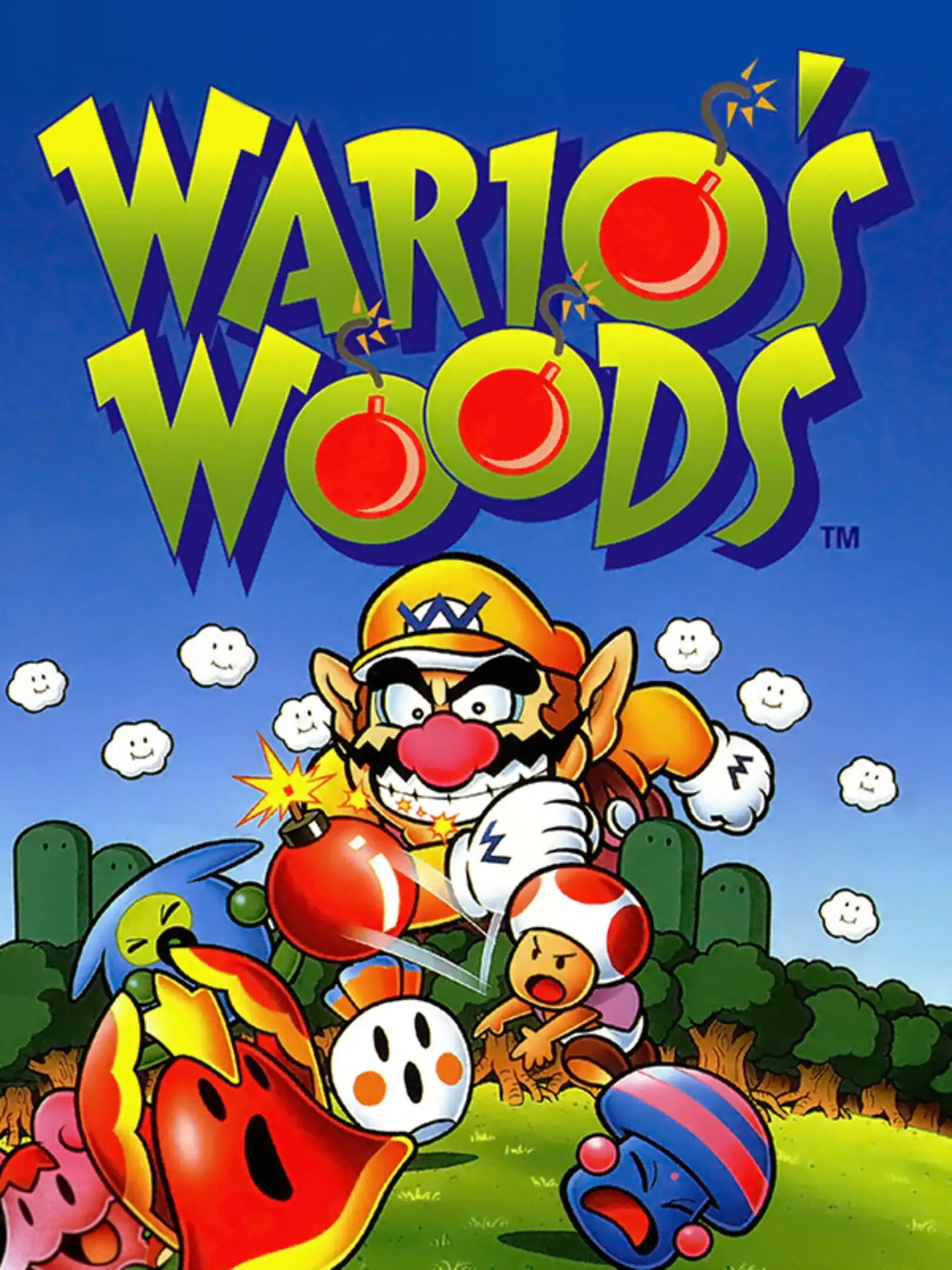 Wario no Mori