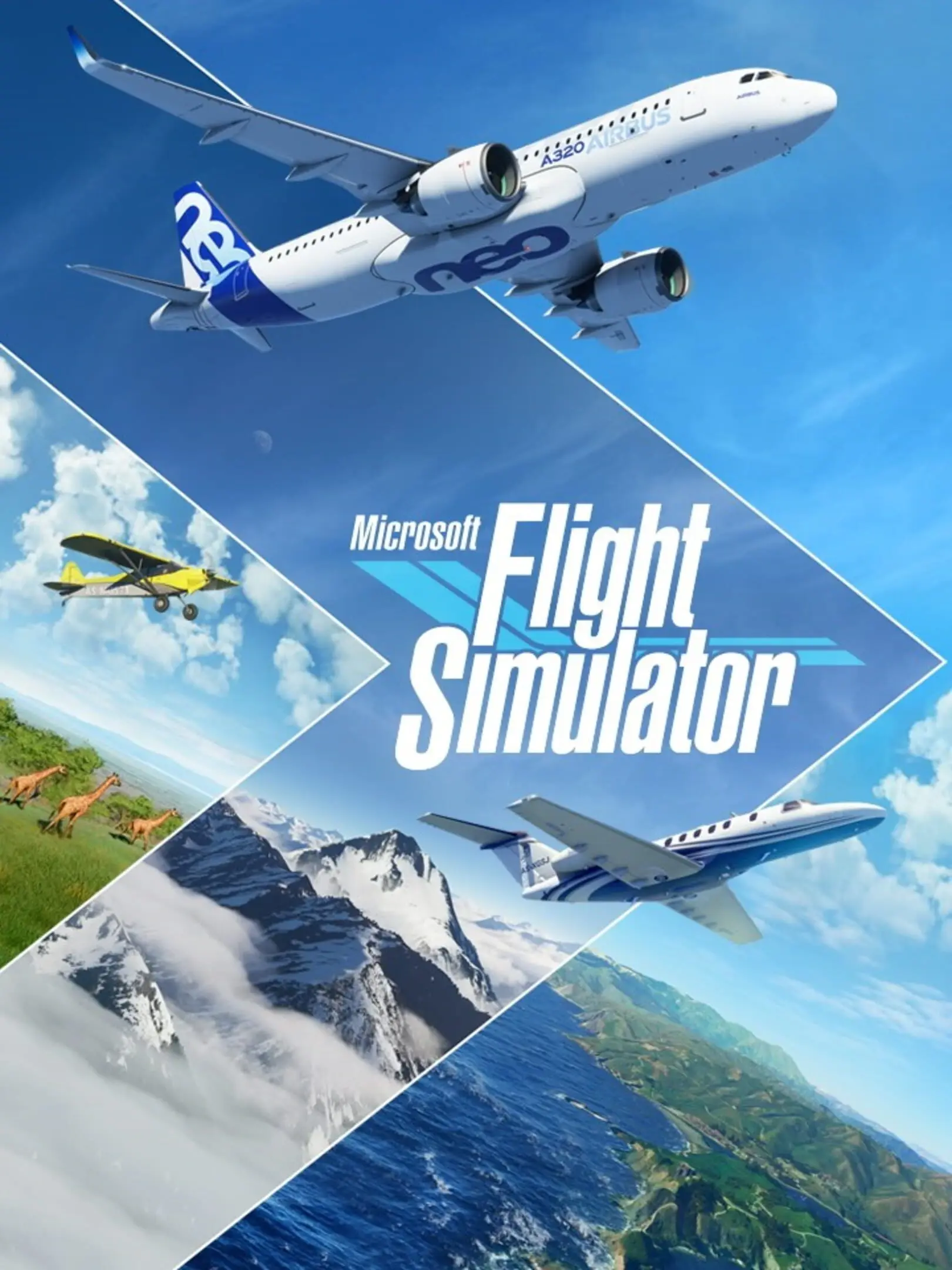 Picture of Microsoft Flight Simulator