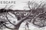 Picture of Escape