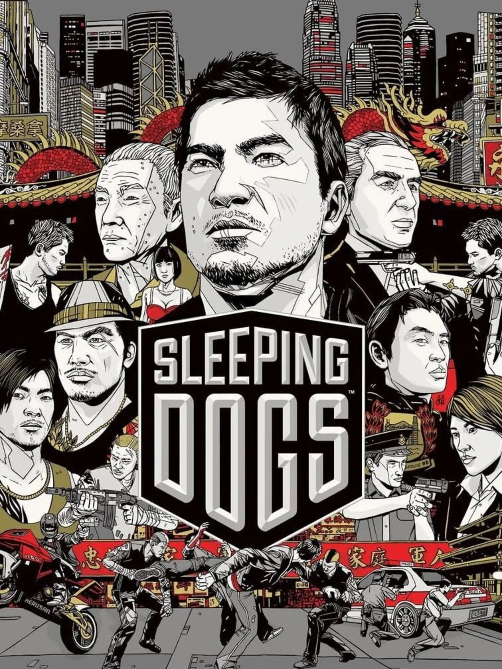 Picture of Sleeping Dogs