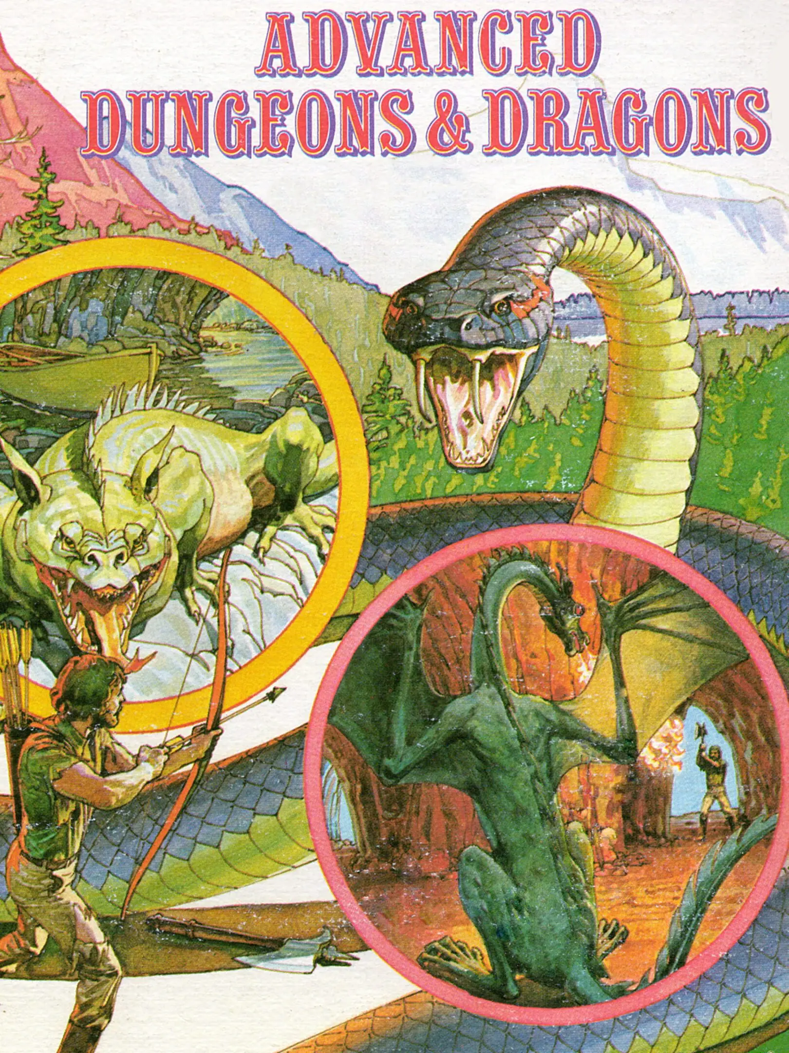 Picture of Advanced Dungeons & Dragons