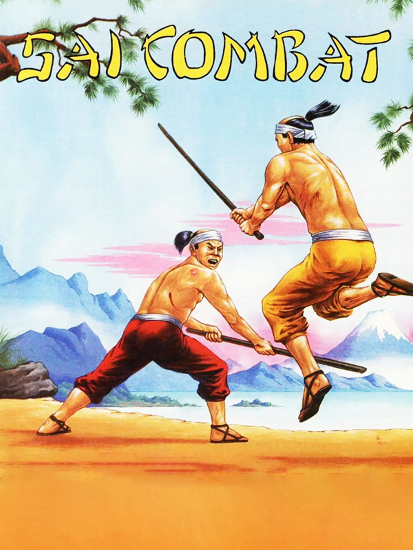 Picture of Sai Combat