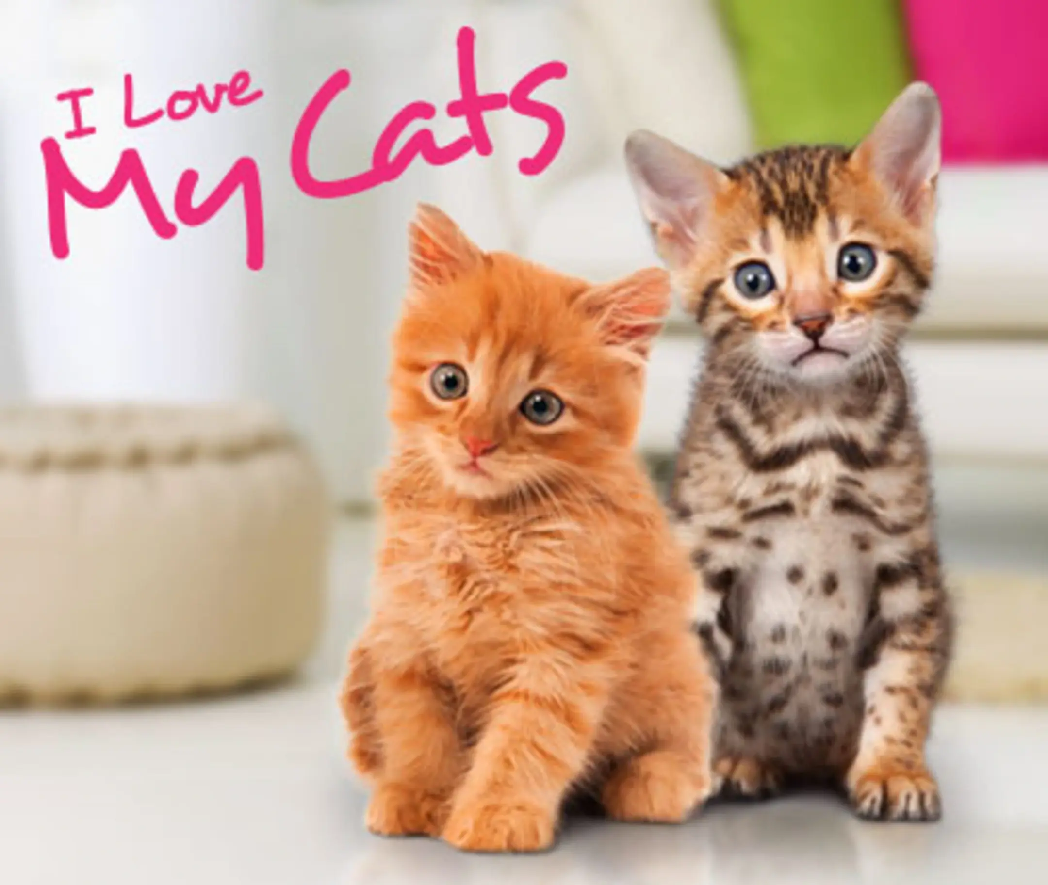 Picture of I Love My Cats