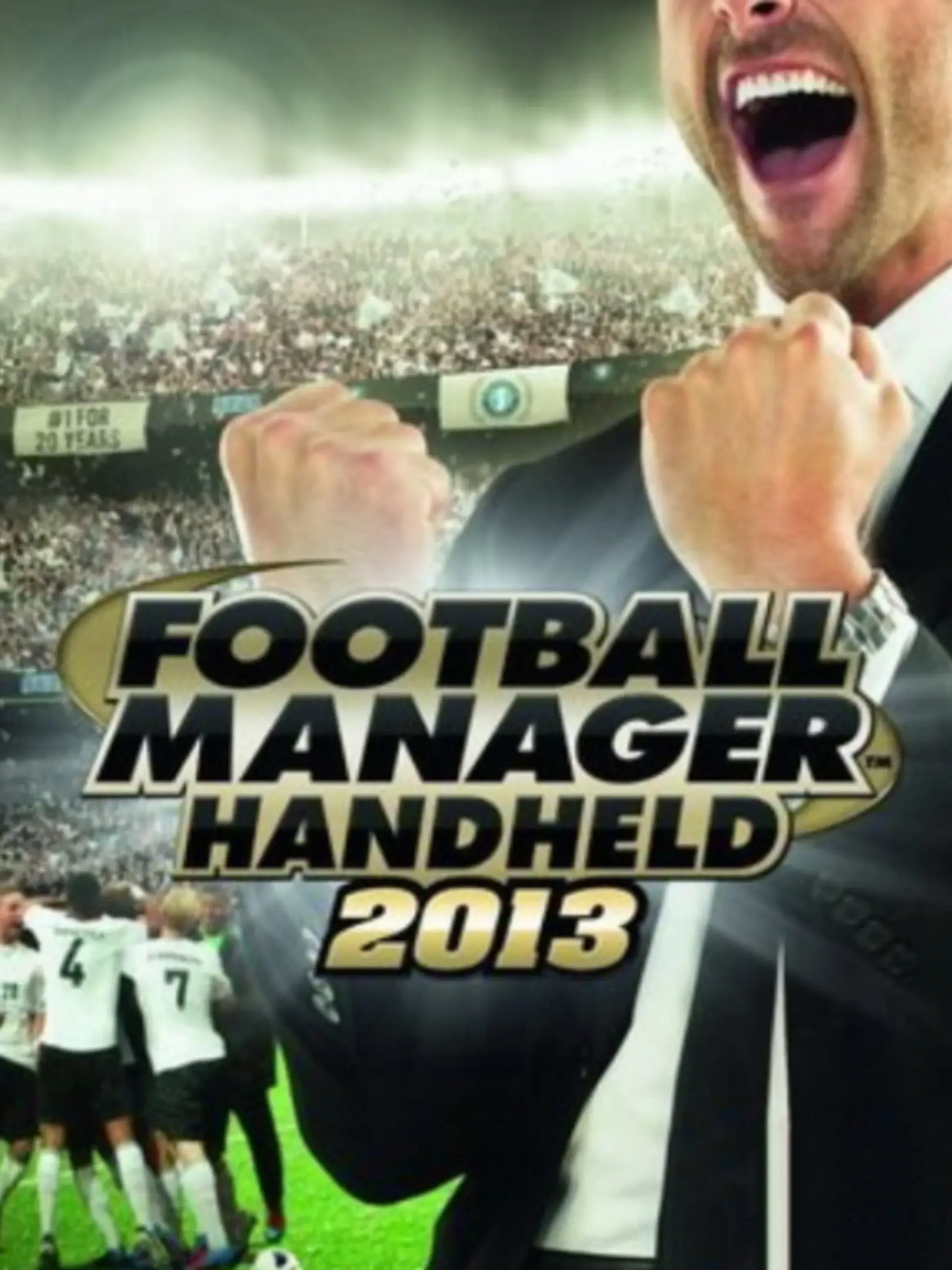 Picture of Football Manager Handheld 2013