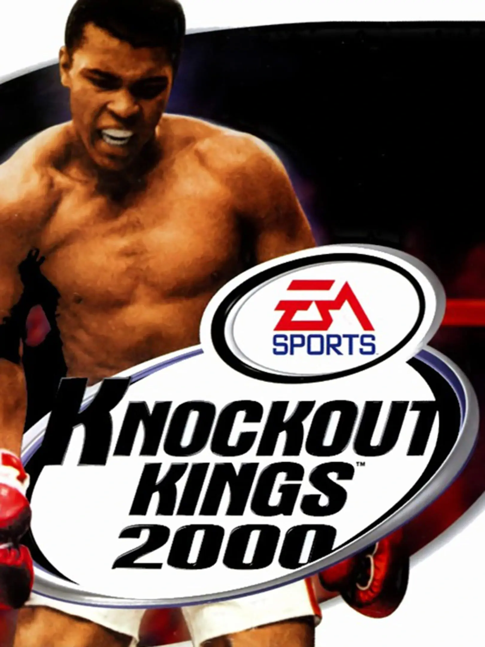Box Champions 2000