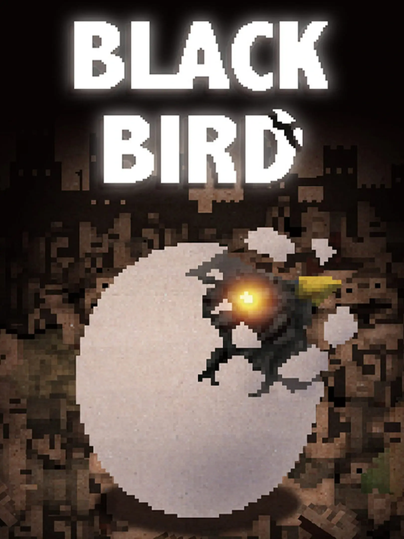 Picture of Black Bird