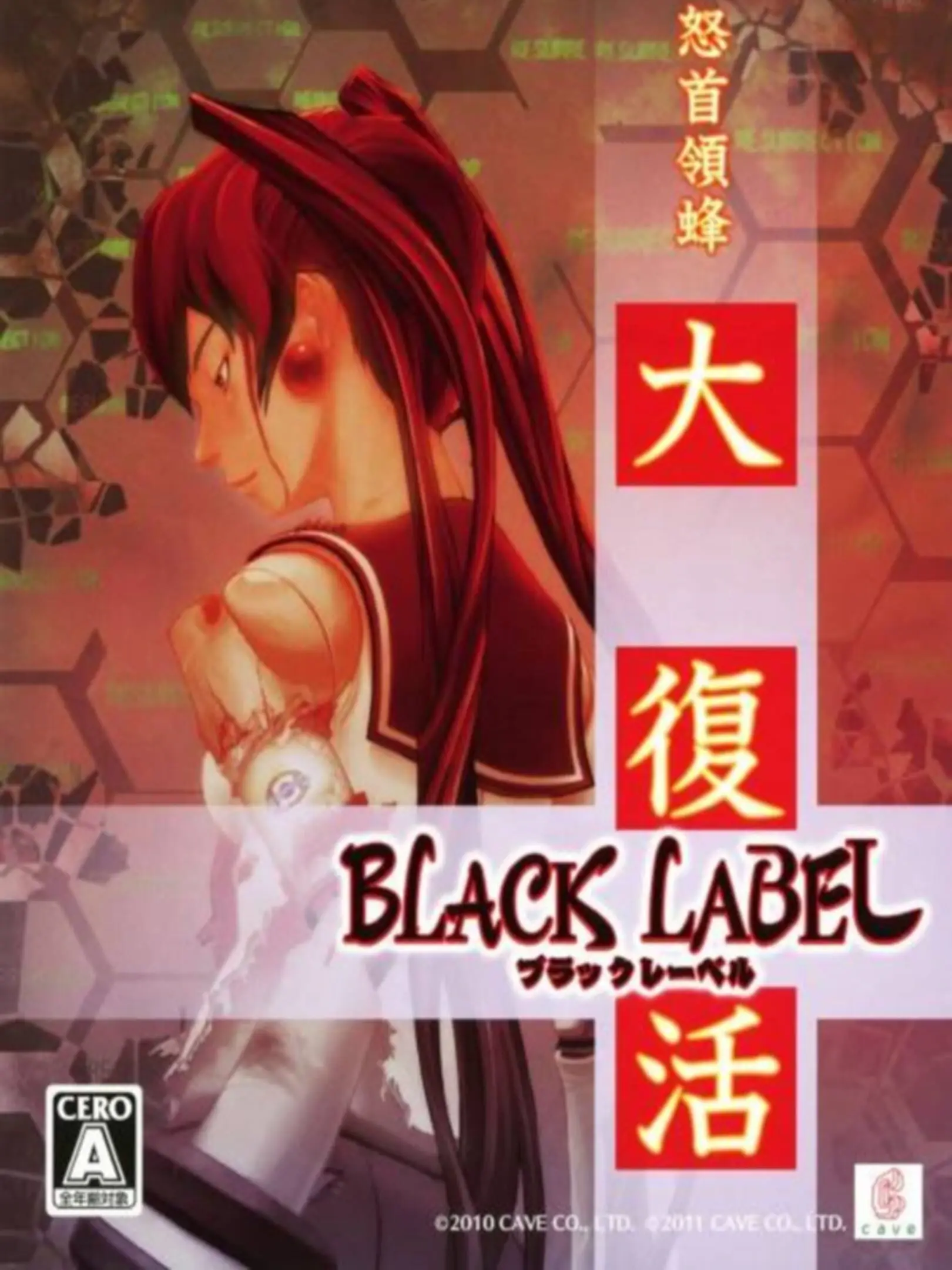 Picture of DoDonPachi Daifukkatsu Black Label