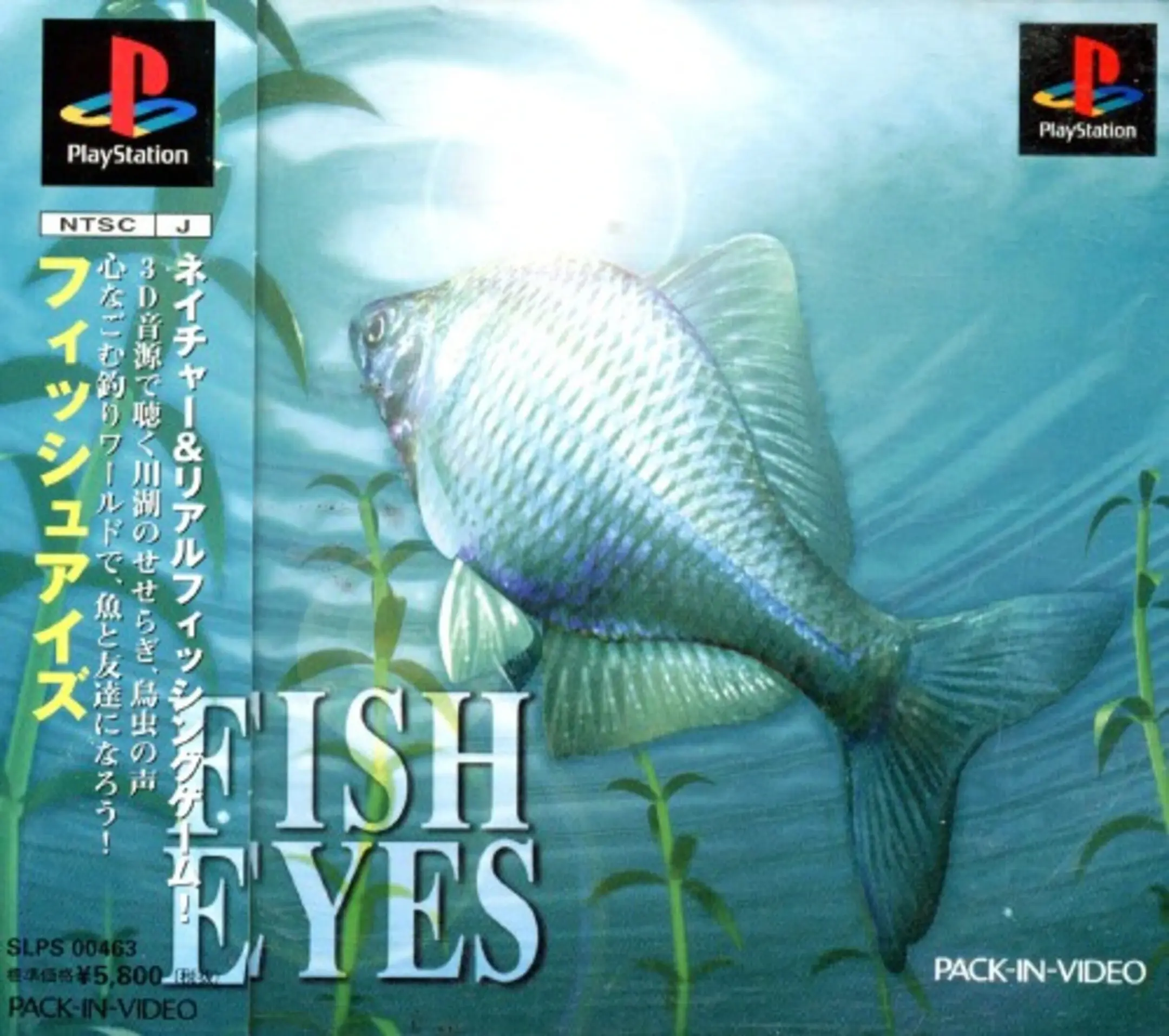 Picture of Fish Eyes 2