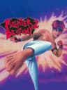 Picture of Fighter Destiny 2