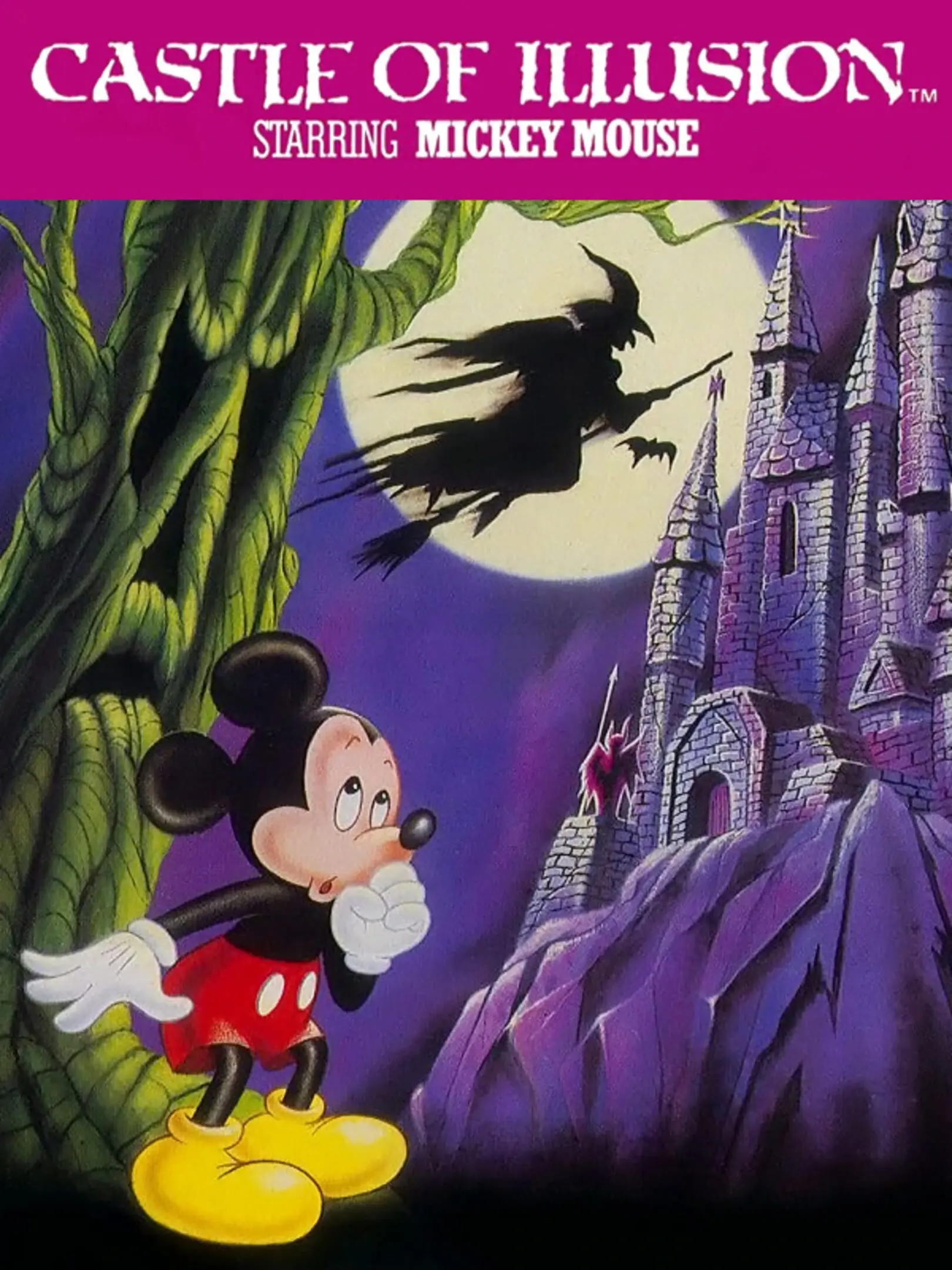 I Love Mickey Mouse: Fushigi no Oshiro Daibouken