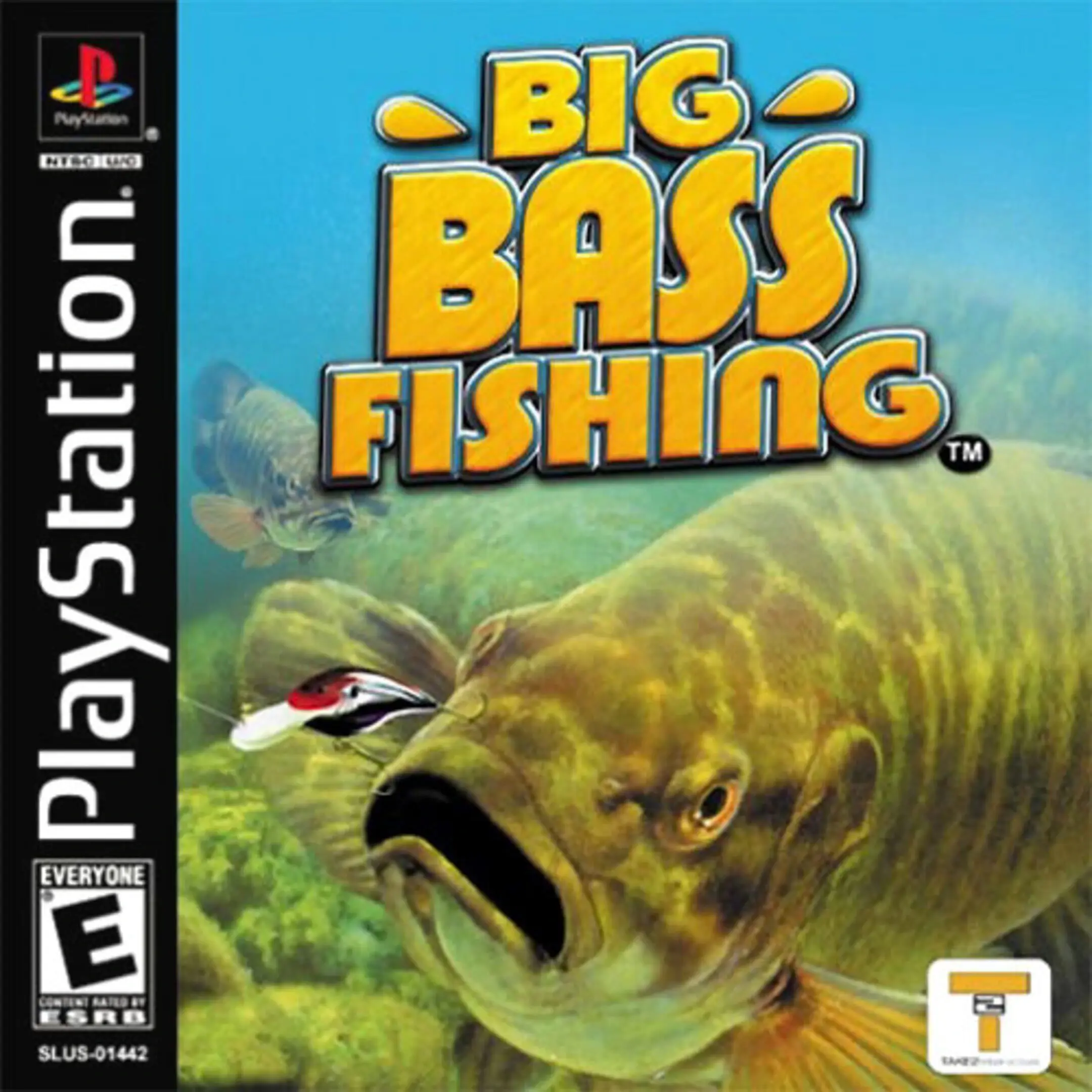 Picture of Big Bass Fishing