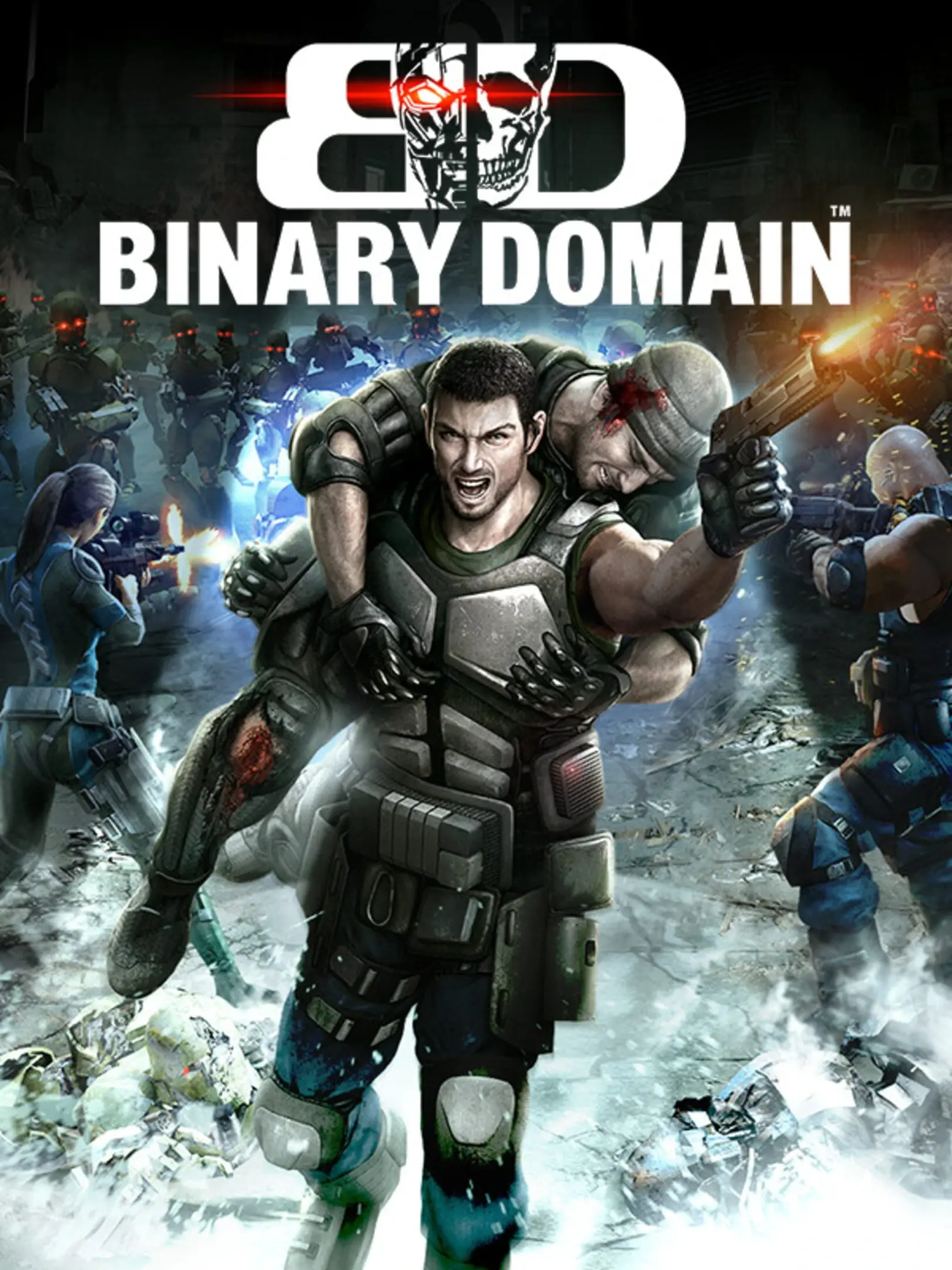 Picture of Binary Domain