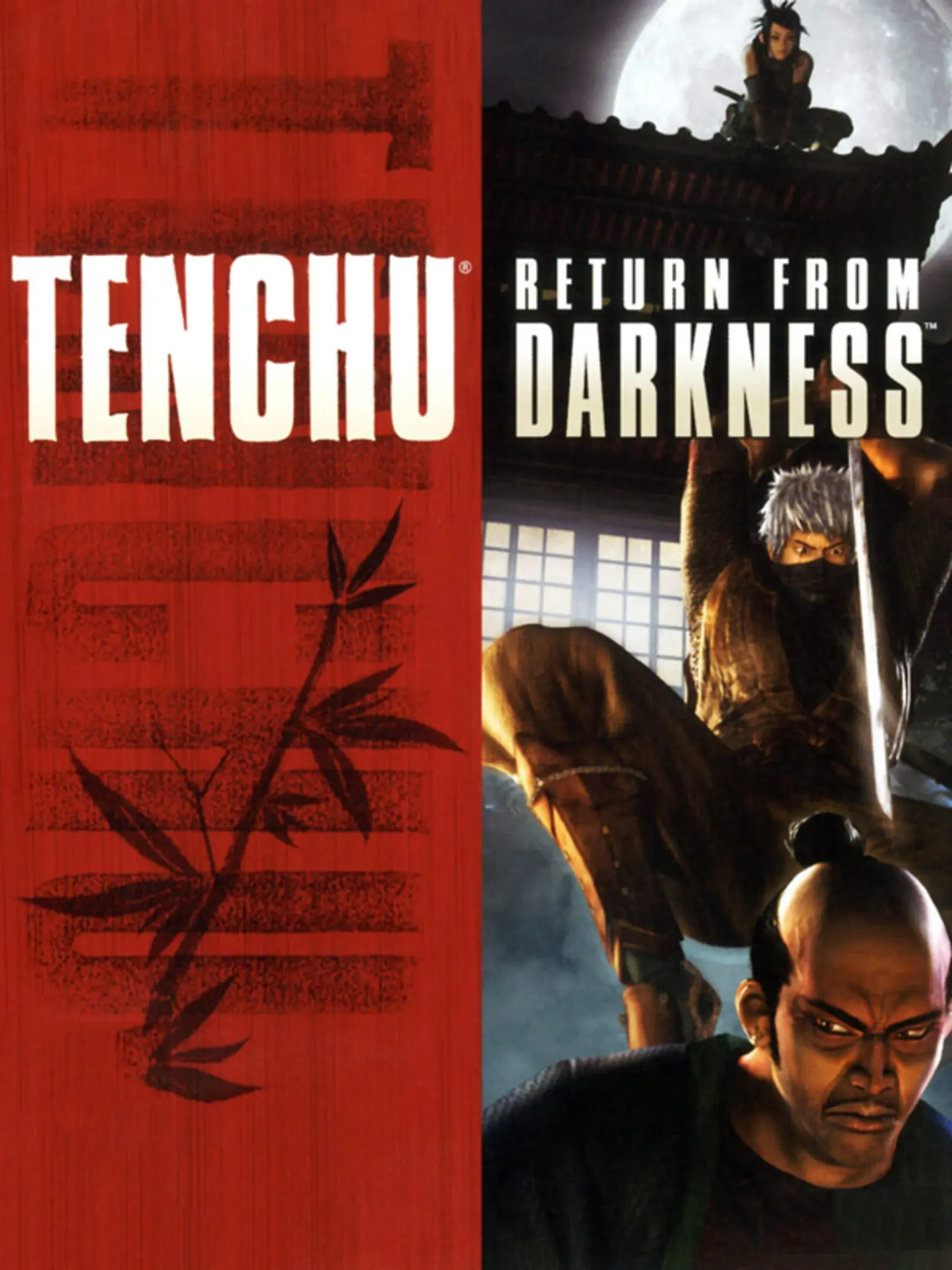 Picture of Tenchu: Return From Darkness
