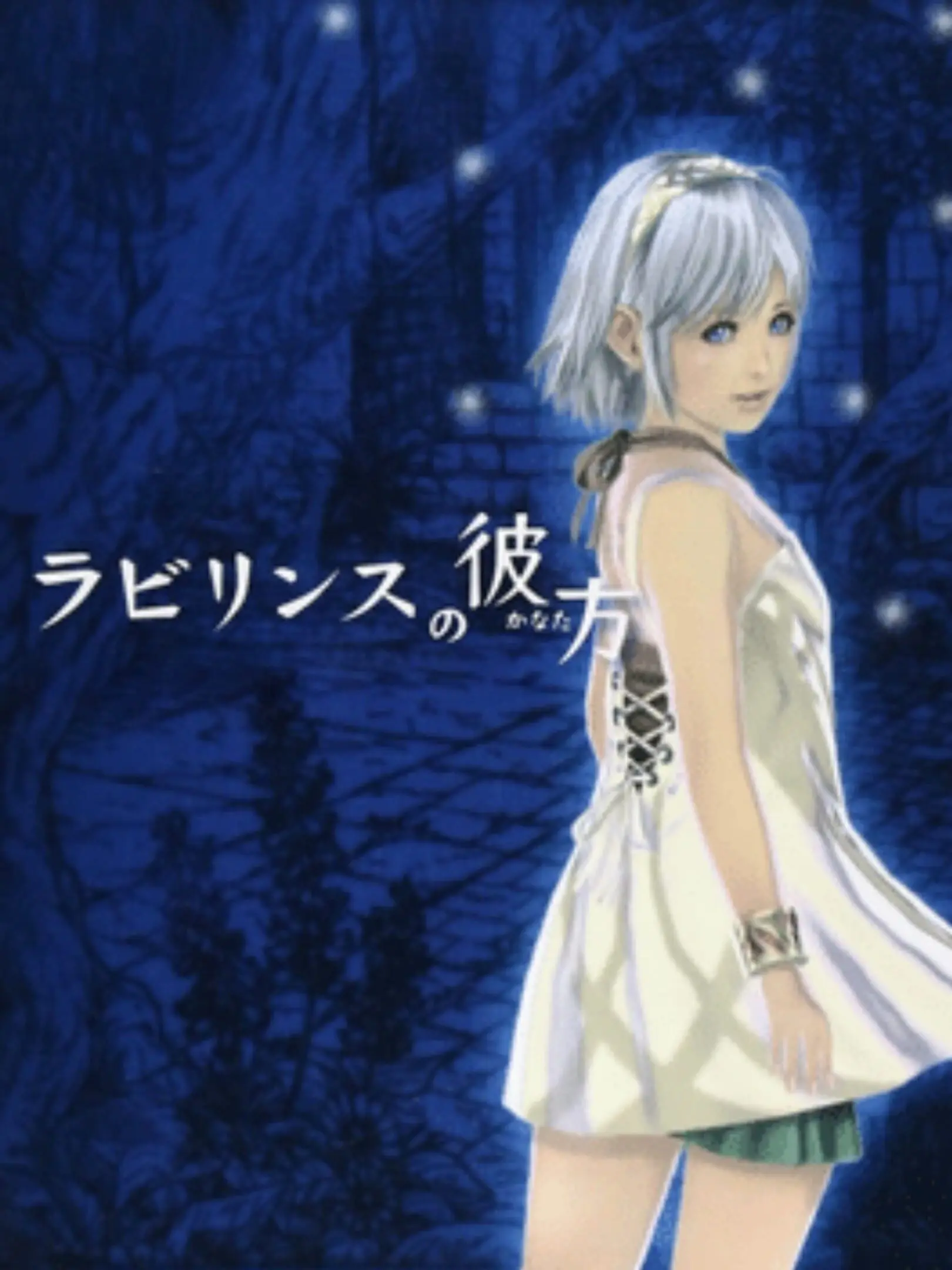 Picture of Labyrinth no Kanata
