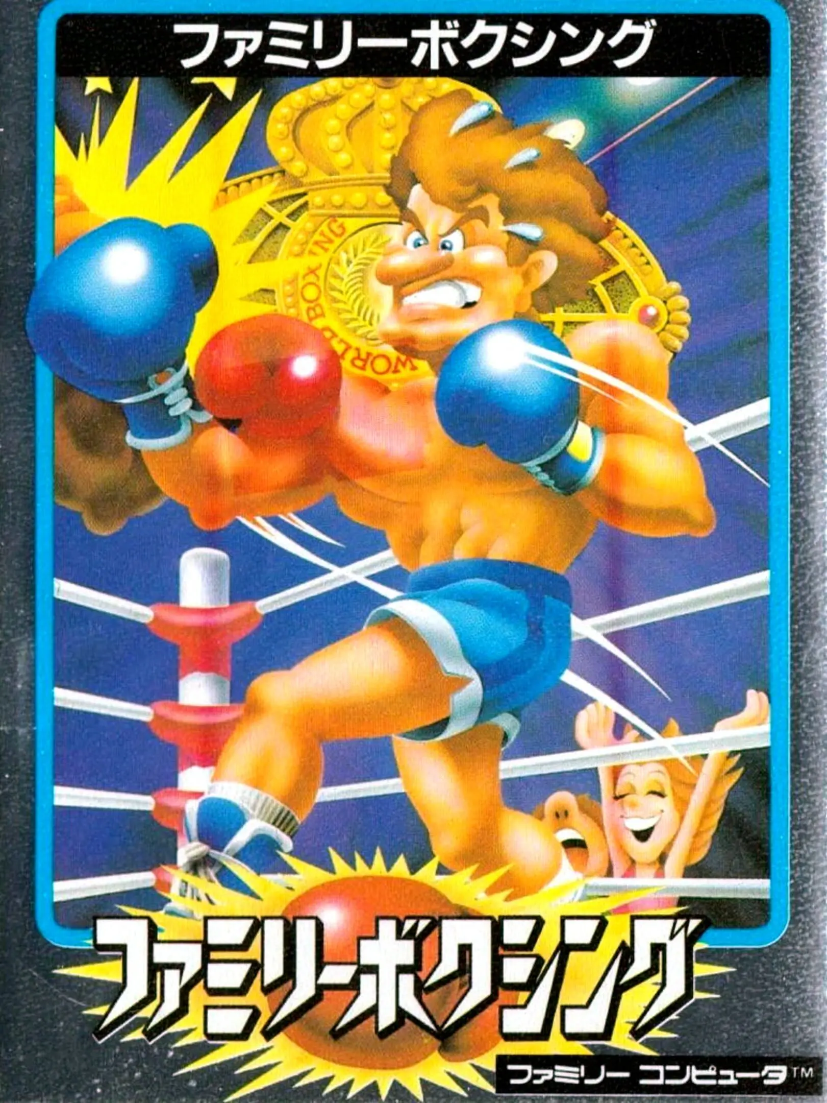 Picture of Family Boxing (2)