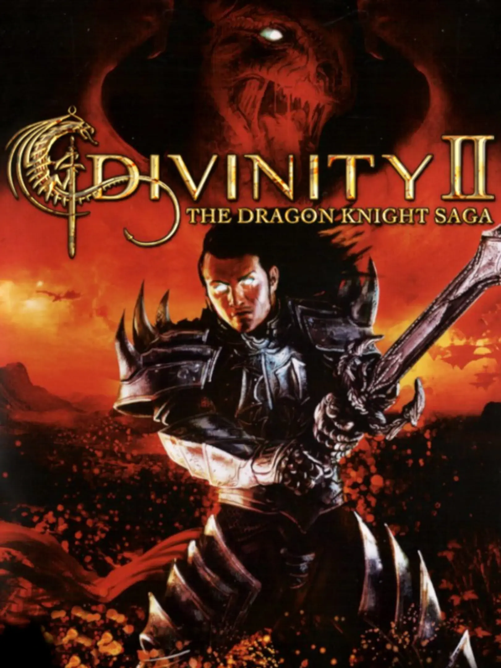 Picture of Divinity II: The Dragon Knight Saga