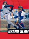 Picture of Grand Slam