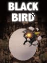 Picture of Black Bird