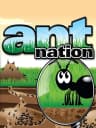 Picture of Ant Nation