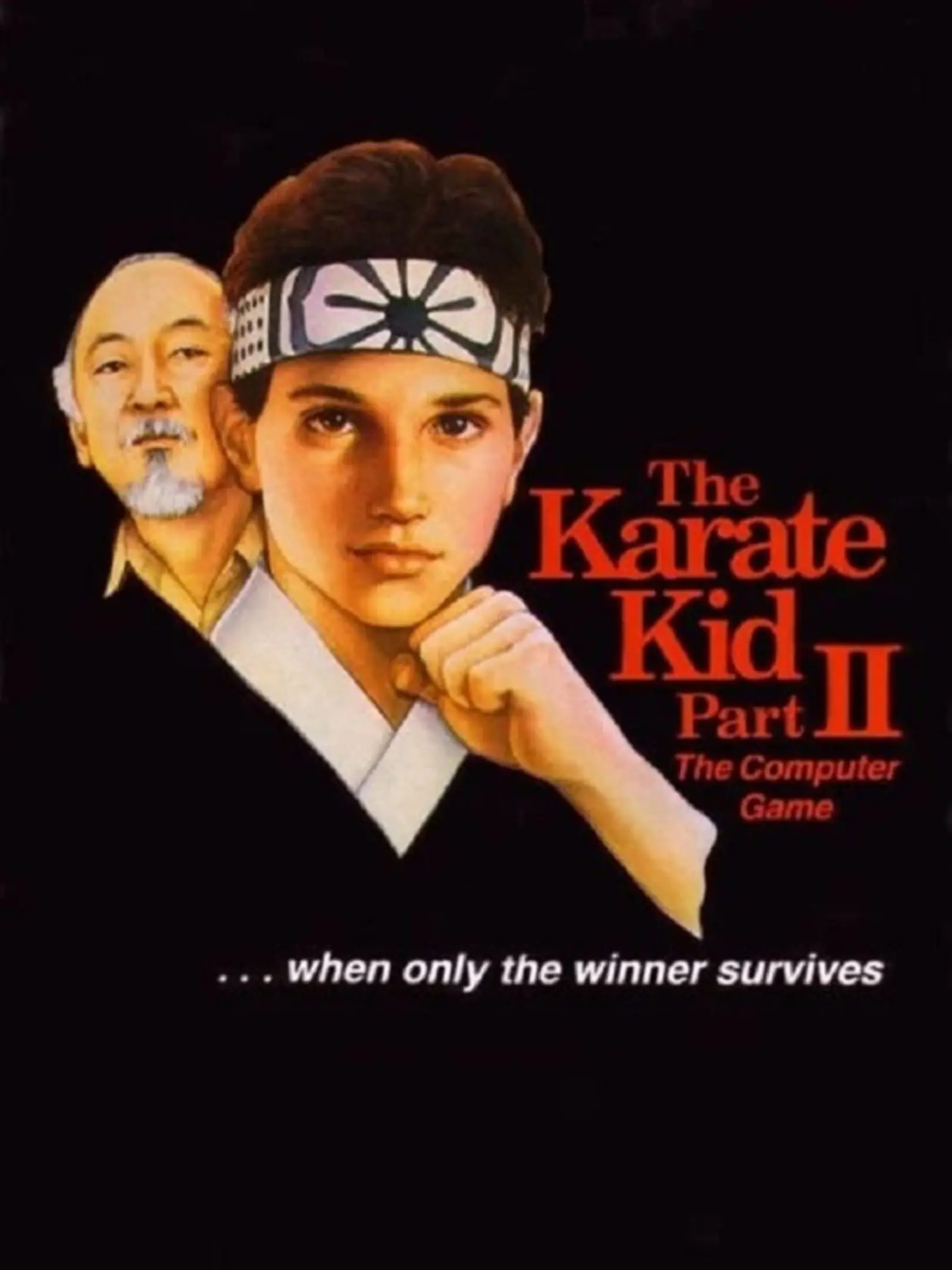 Picture of The Karate Kid Part II