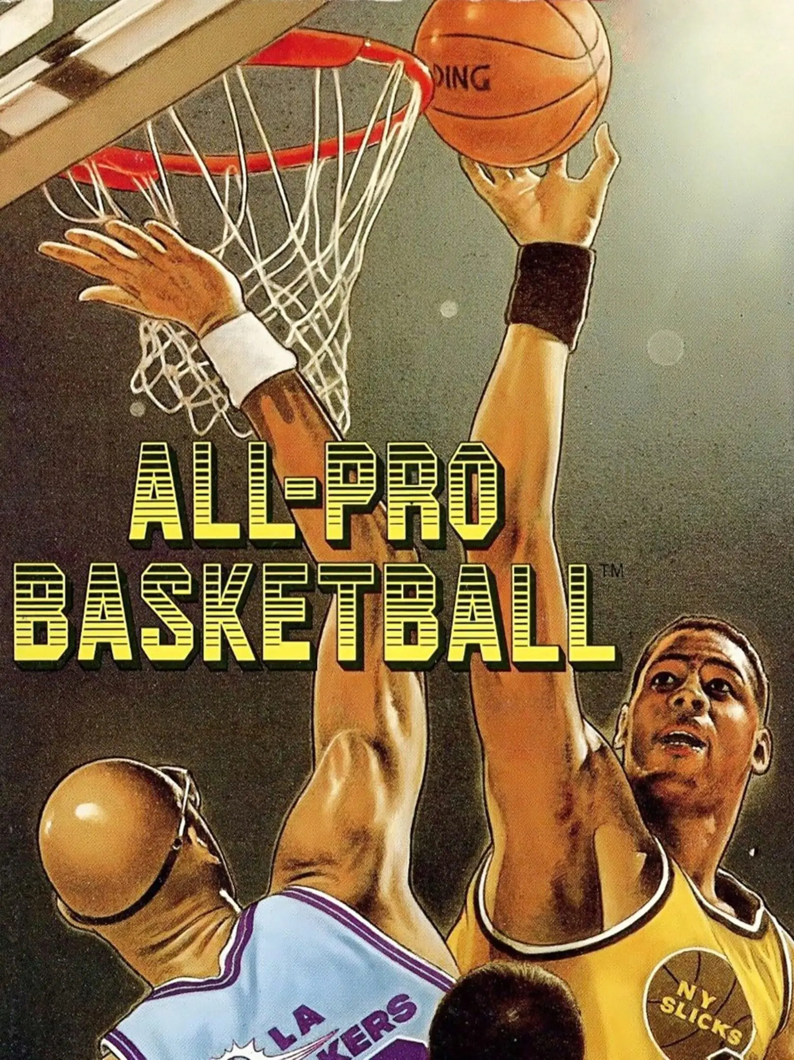Picture of All-Pro Basketball