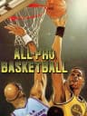 Picture of All-Pro Basketball
