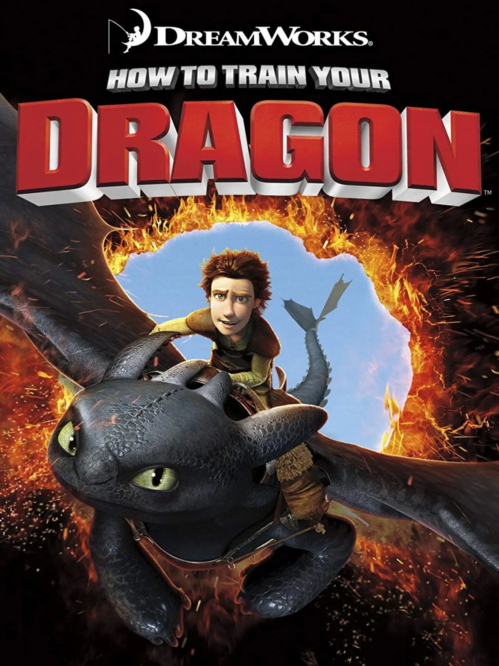 Picture of How to Train Your Dragon