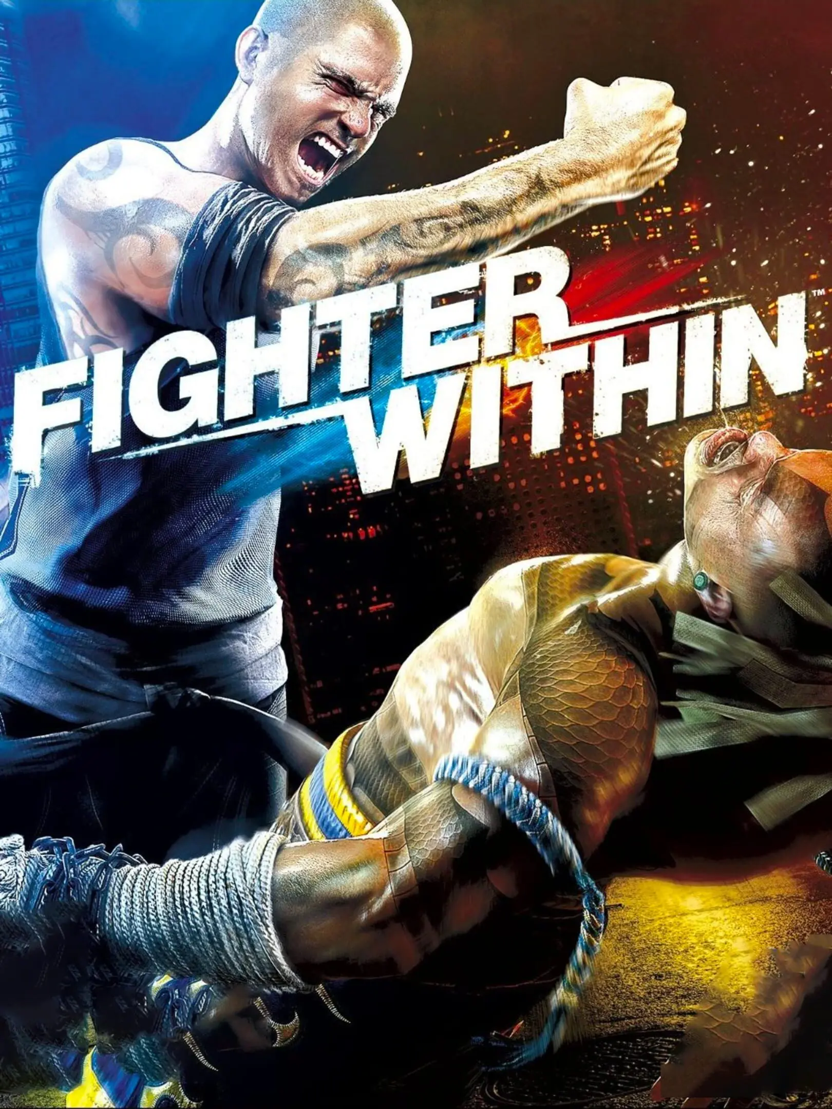 Picture of Fighter Within