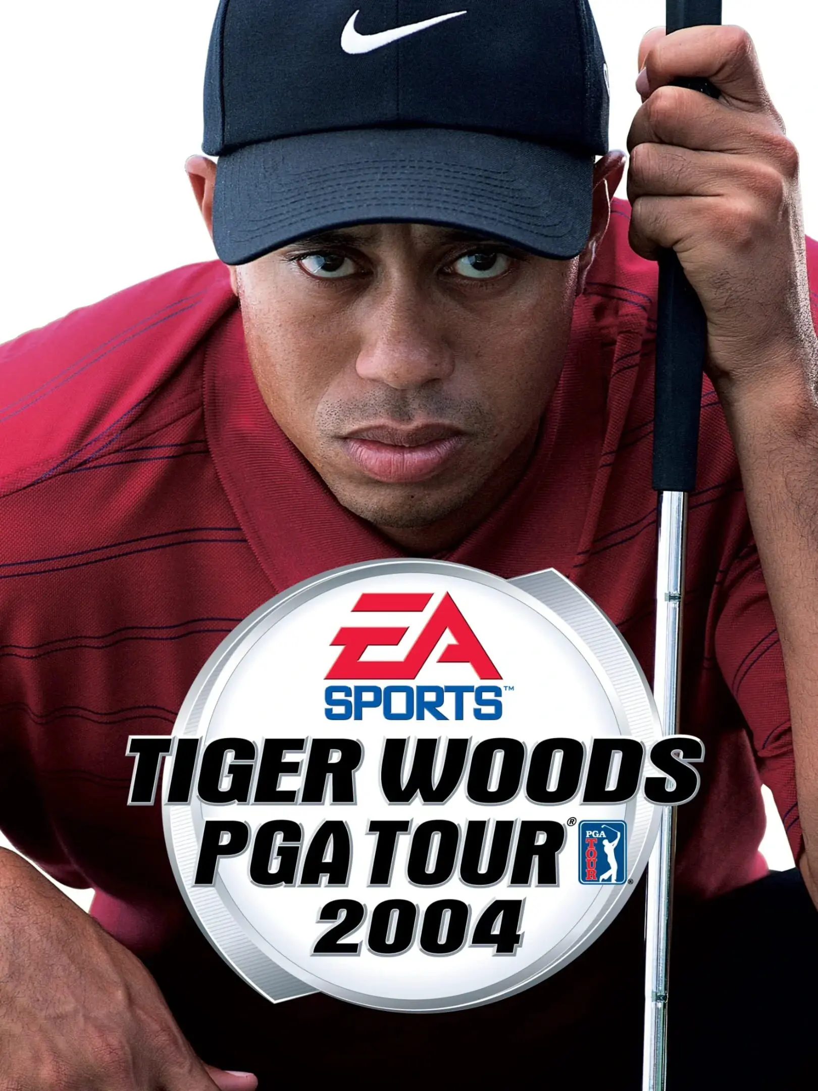 Picture of Tiger Woods PGA Tour 2004