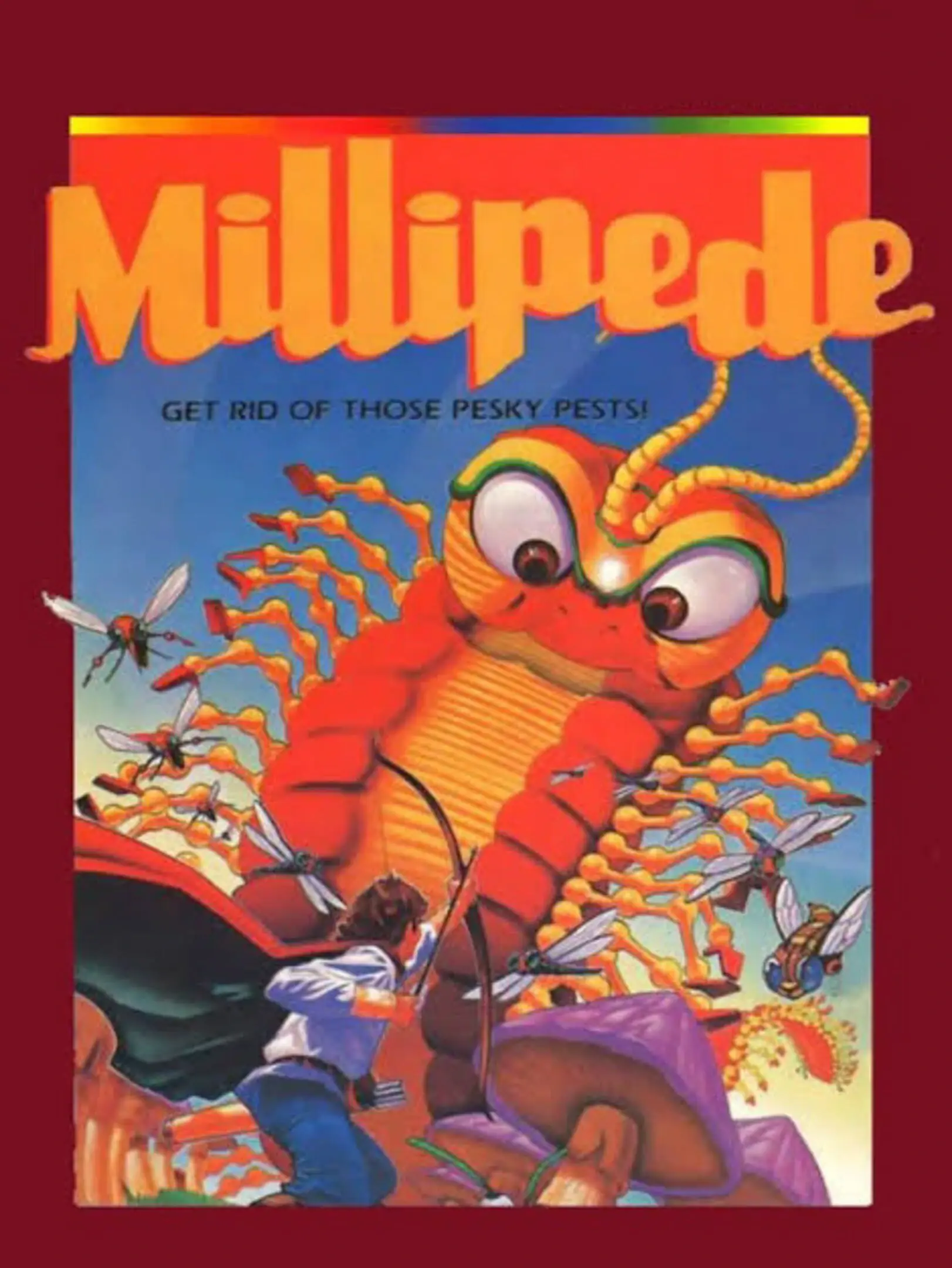 Picture of Millipede